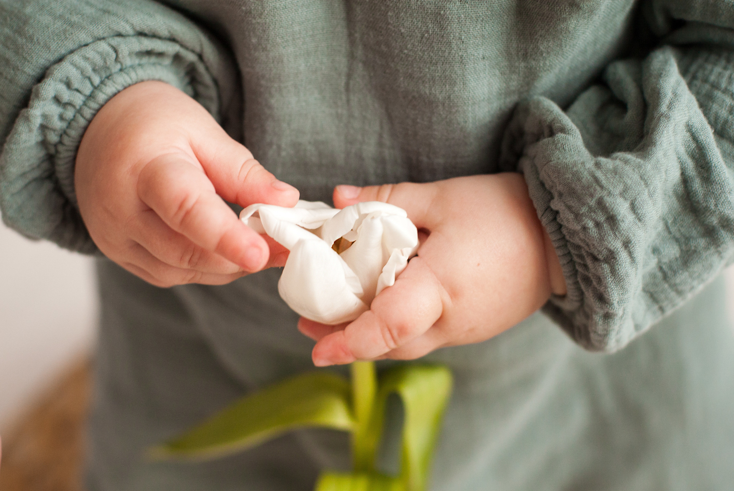 Лиза!. Фотограф новорожденных в Брянске Анжелика Прохоренкова