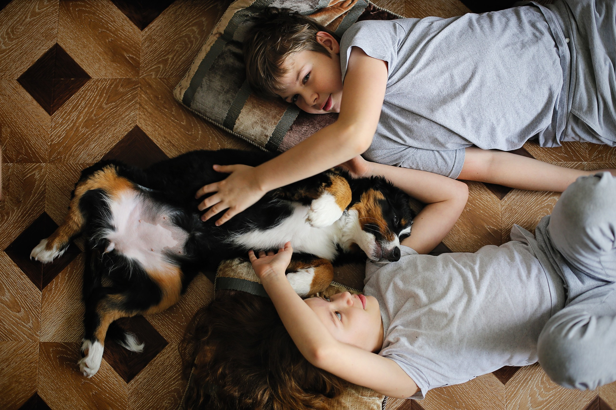 Четвероногие друзья. Репортажный, семейный, школьный фотограф в Иванове Инна Крылова