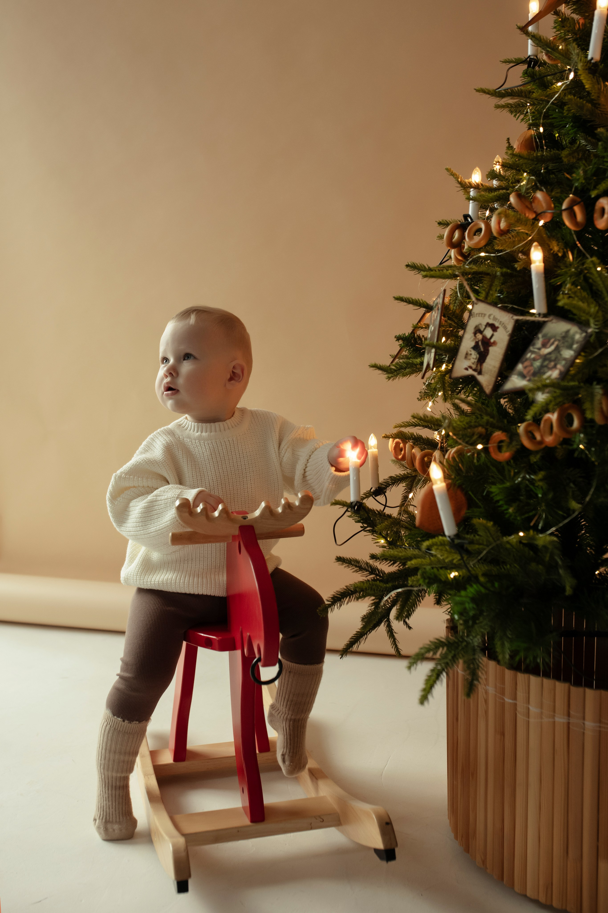 Новогодняя. Дьячкова Мария фотограф