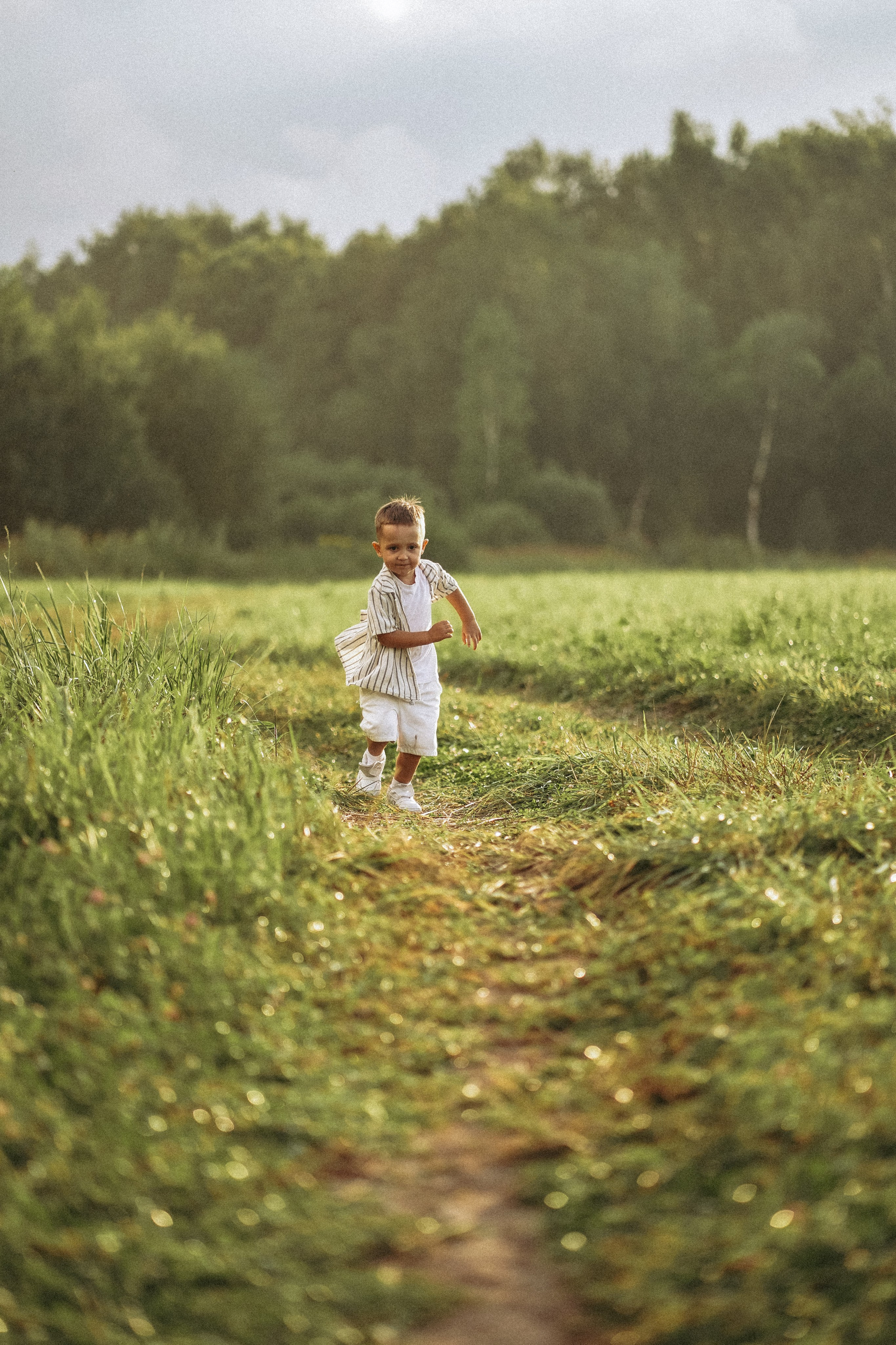 Свадебные. Фотограф в Москве и МО