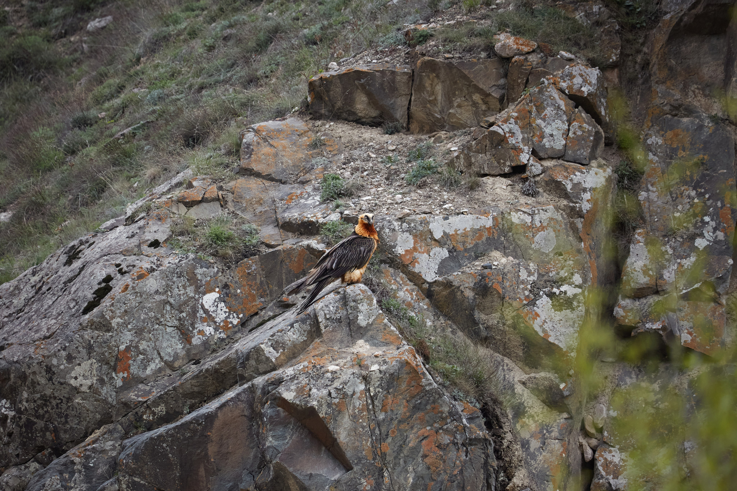Путешествия и лайфстайл. Горный фотограф на Кавказе Никита Першин