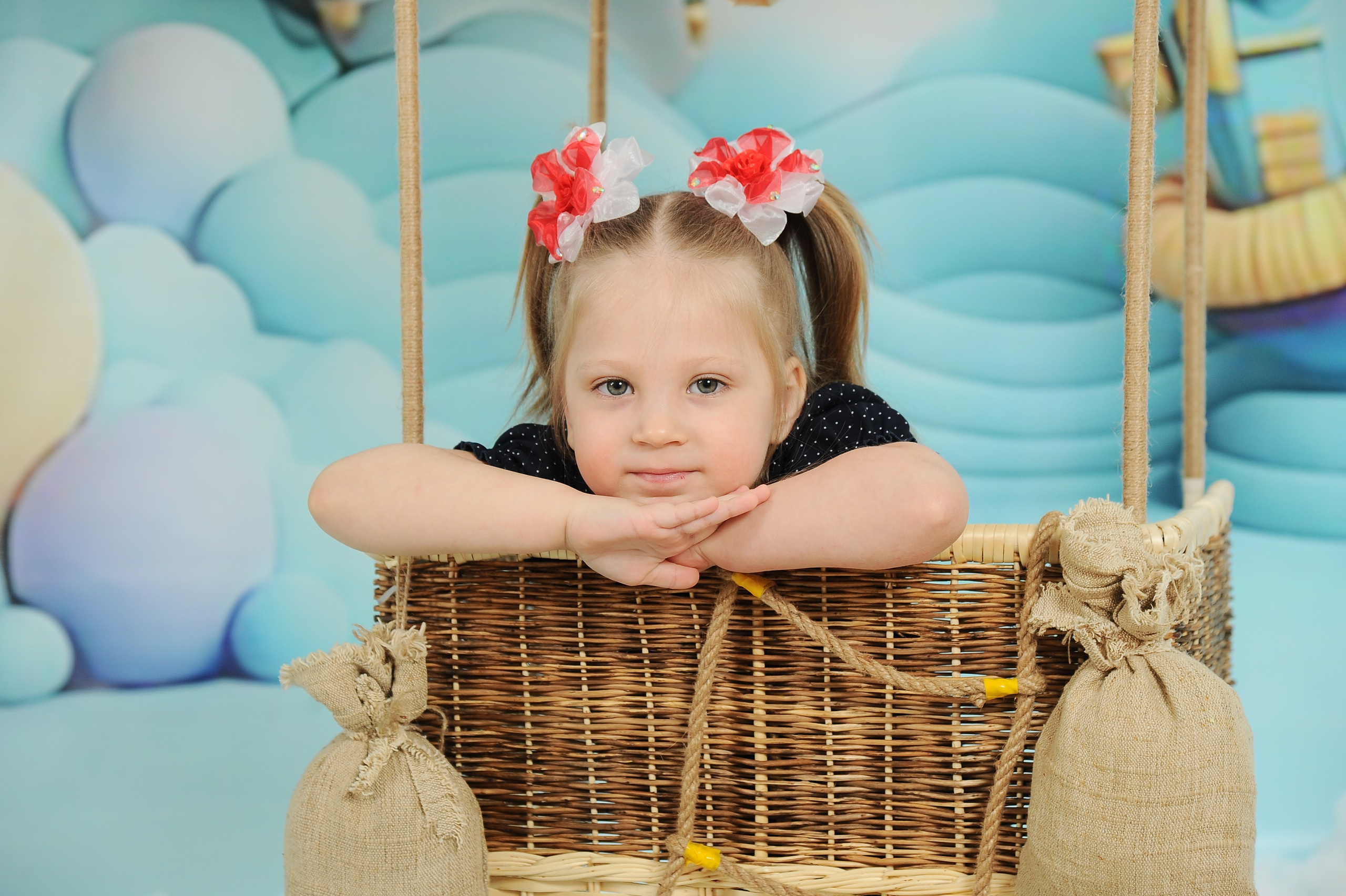 Аэро 25. Новогодний лес