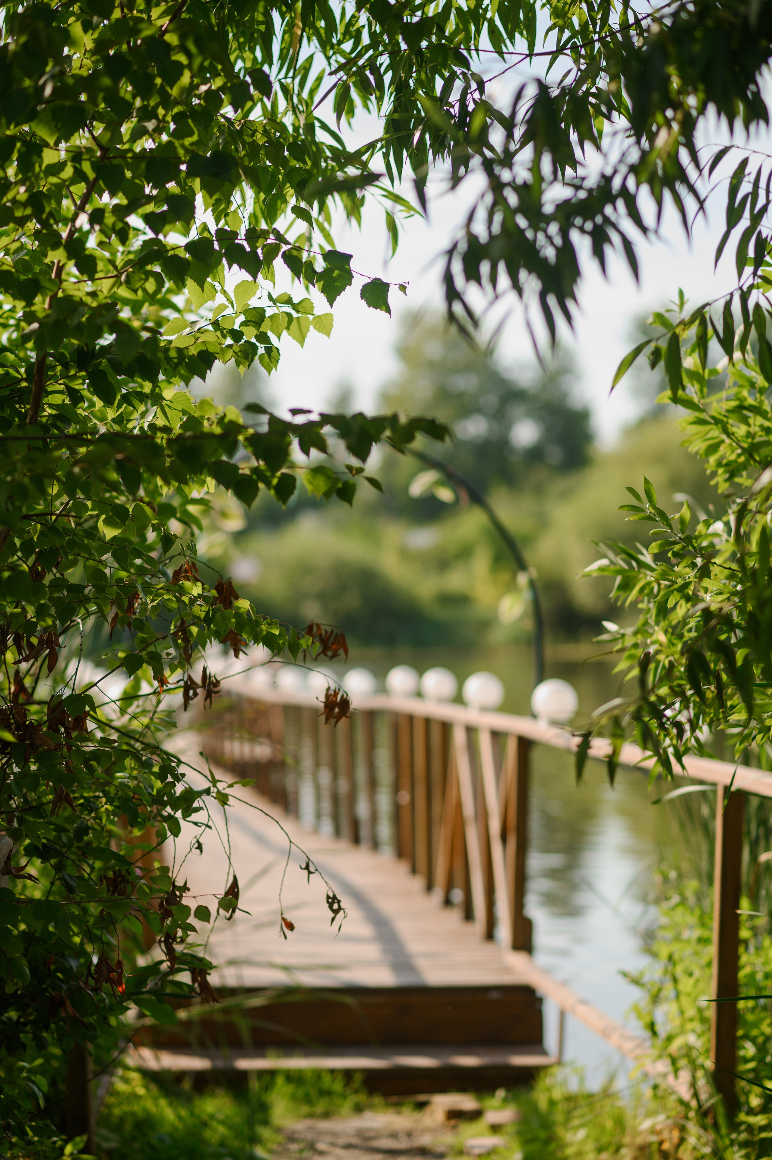 Роман и Настя. Свадебный и семейный Фотограф в Пензе Татьяна Лапоногова