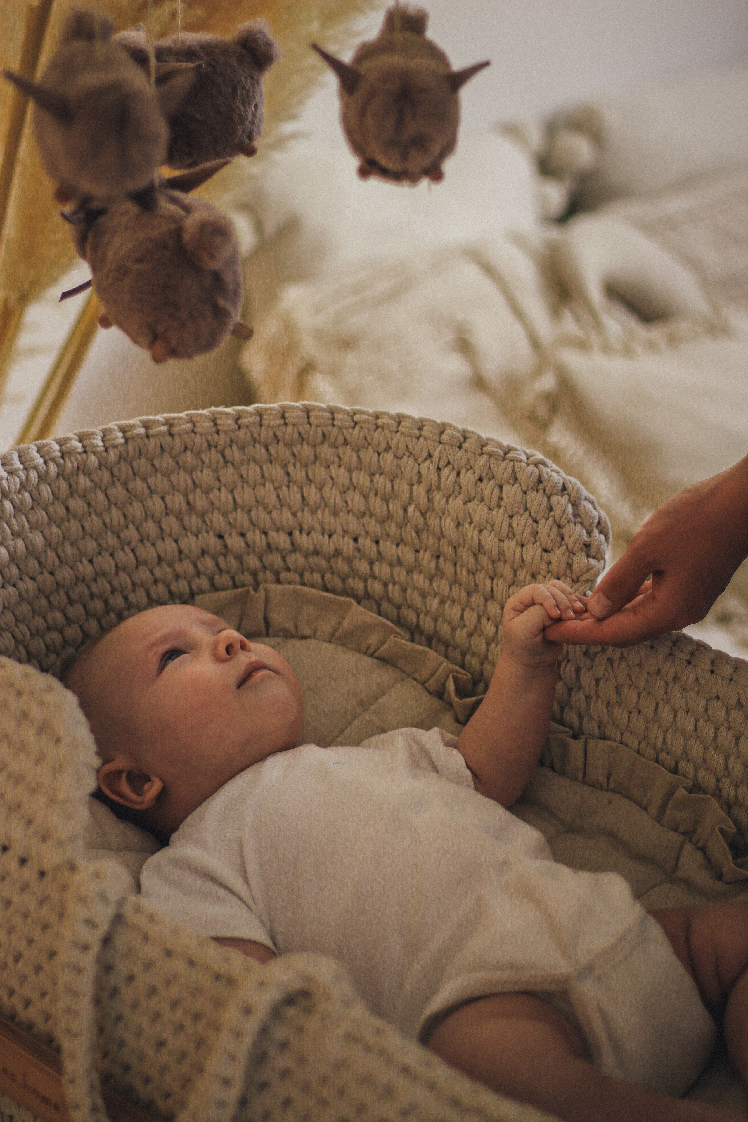 Радмир, Дарья и Мироша. Фотограф Краснодар
