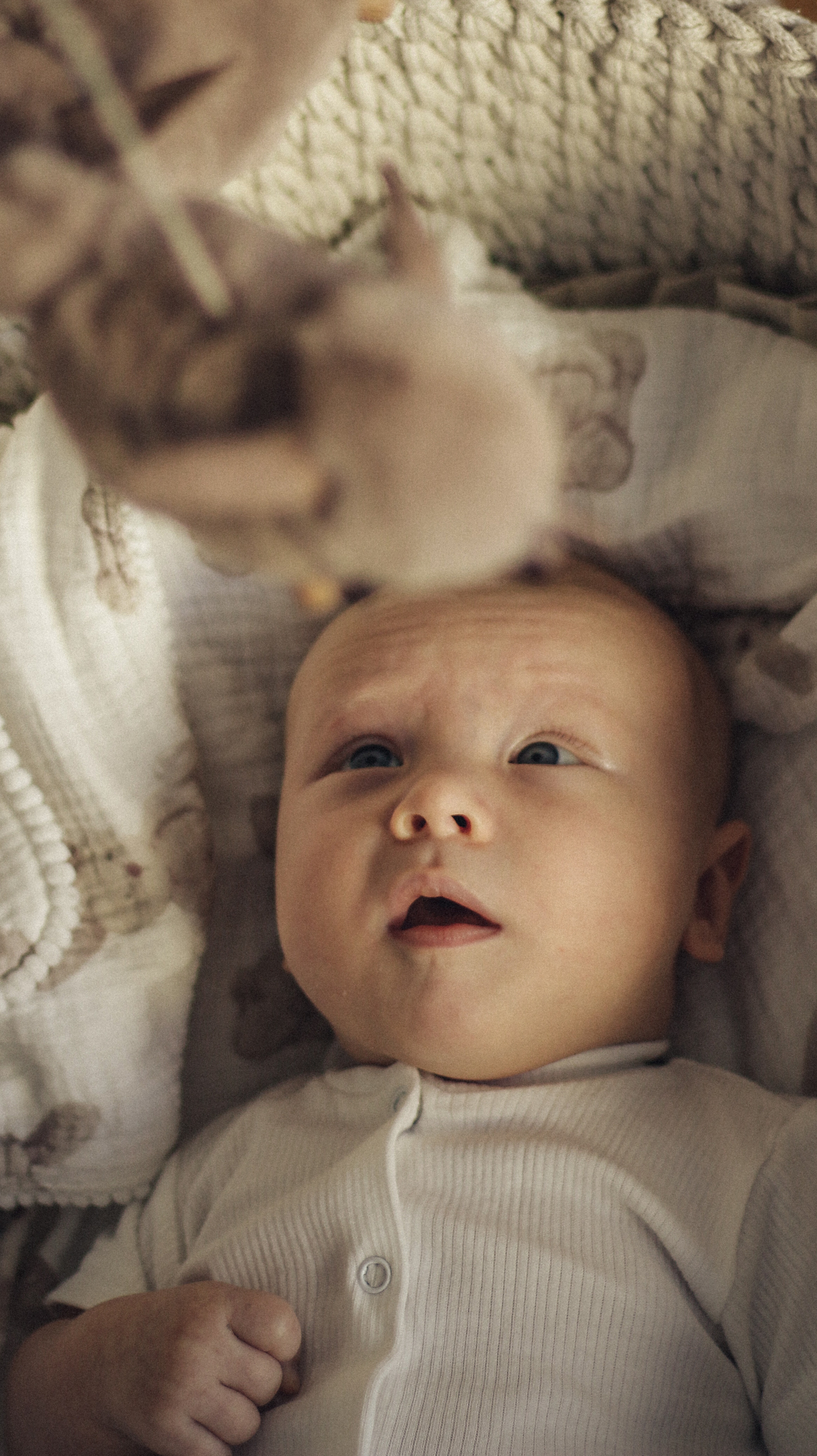 Радмир, Дарья и Мироша. Фотограф Краснодар