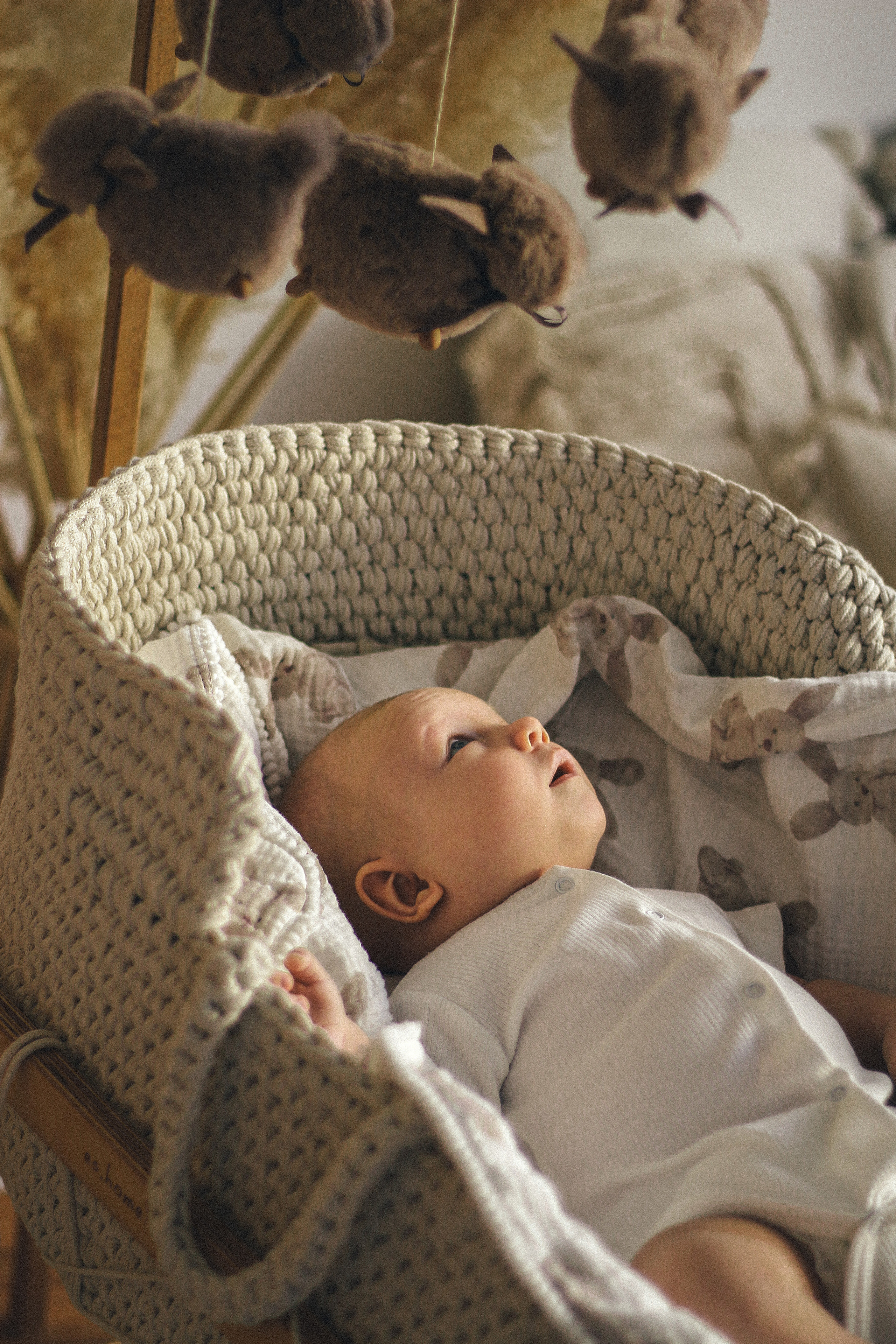 Радмир, Дарья и Мироша. Фотограф Краснодар