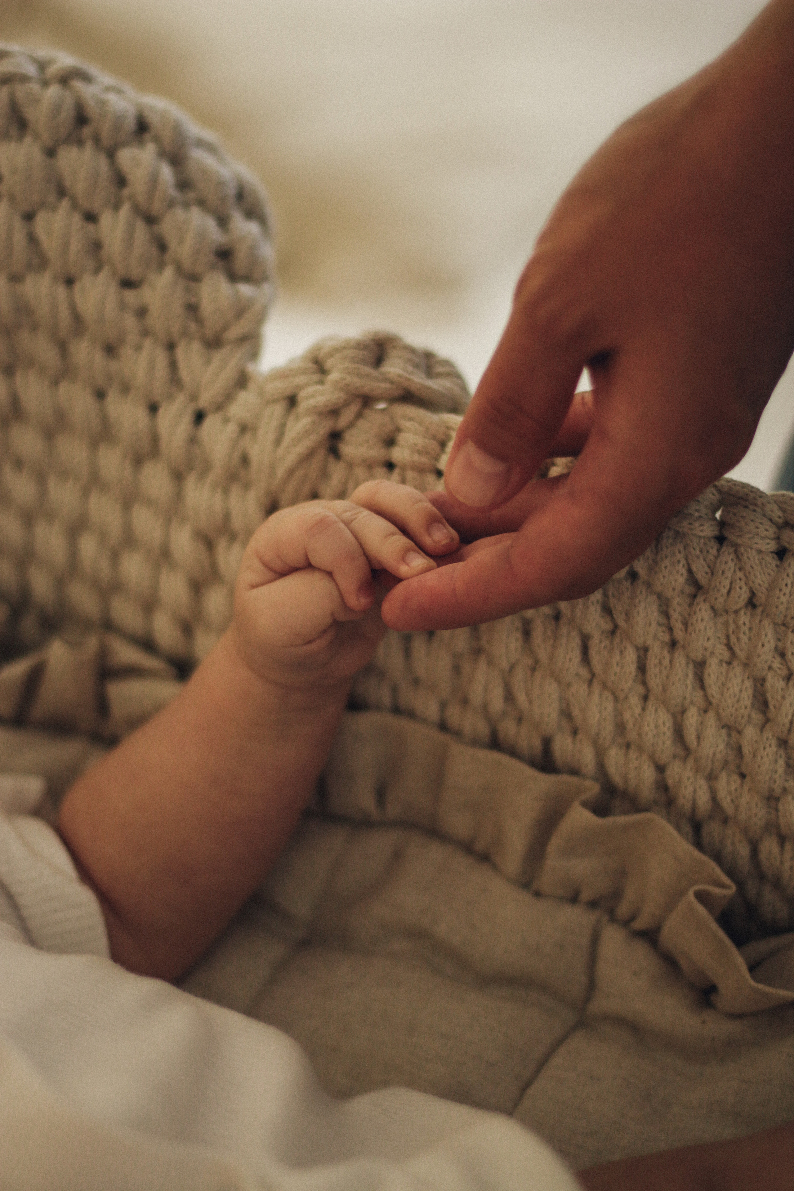 Радмир, Дарья и Мироша. Фотограф Краснодар