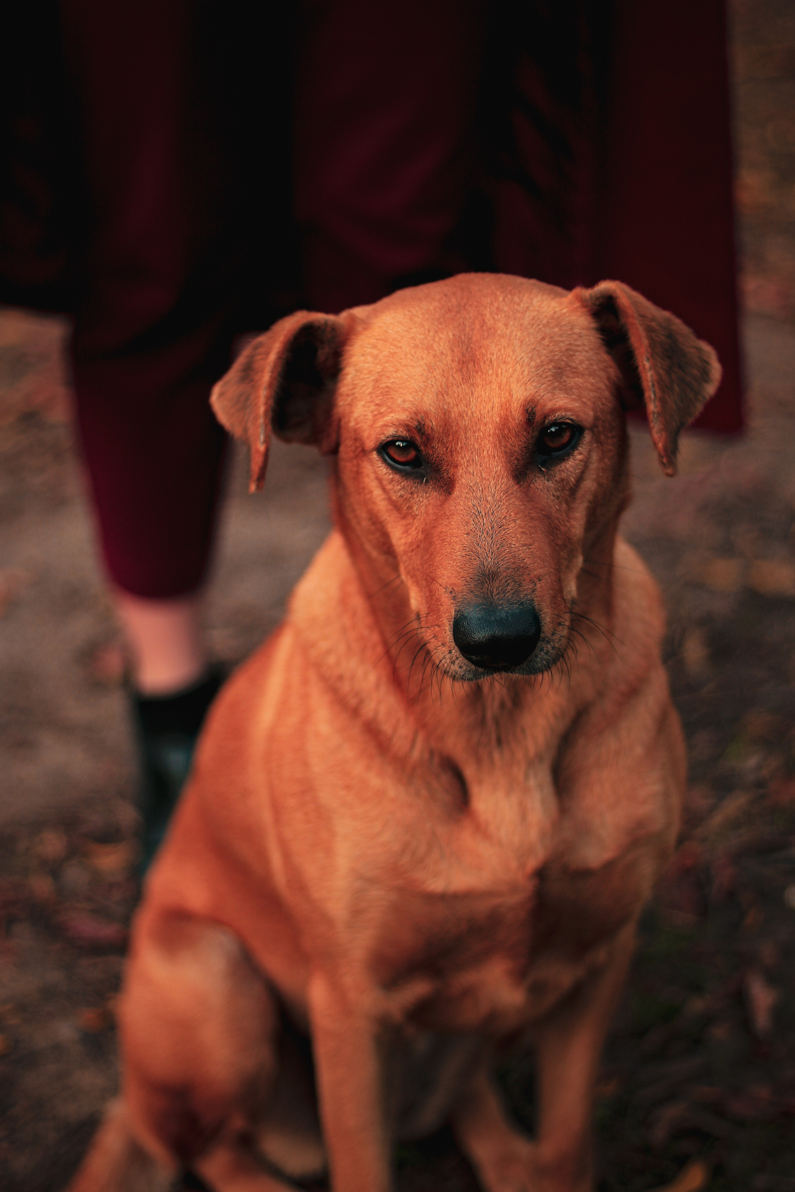 Юлия. Фотограф Краснодар