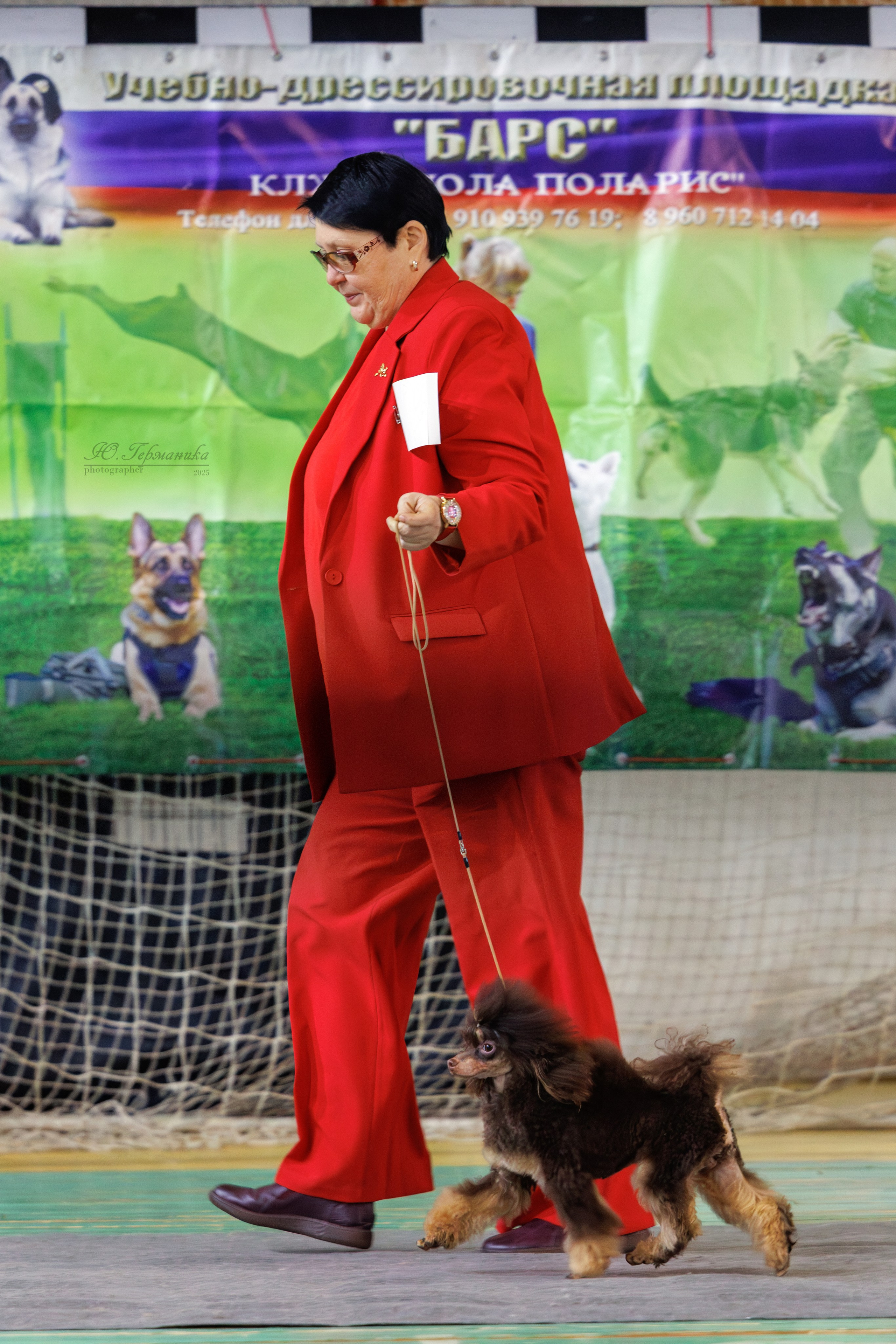 Тверь 21.12.2025. Фотограф-анималист Юлия Германика