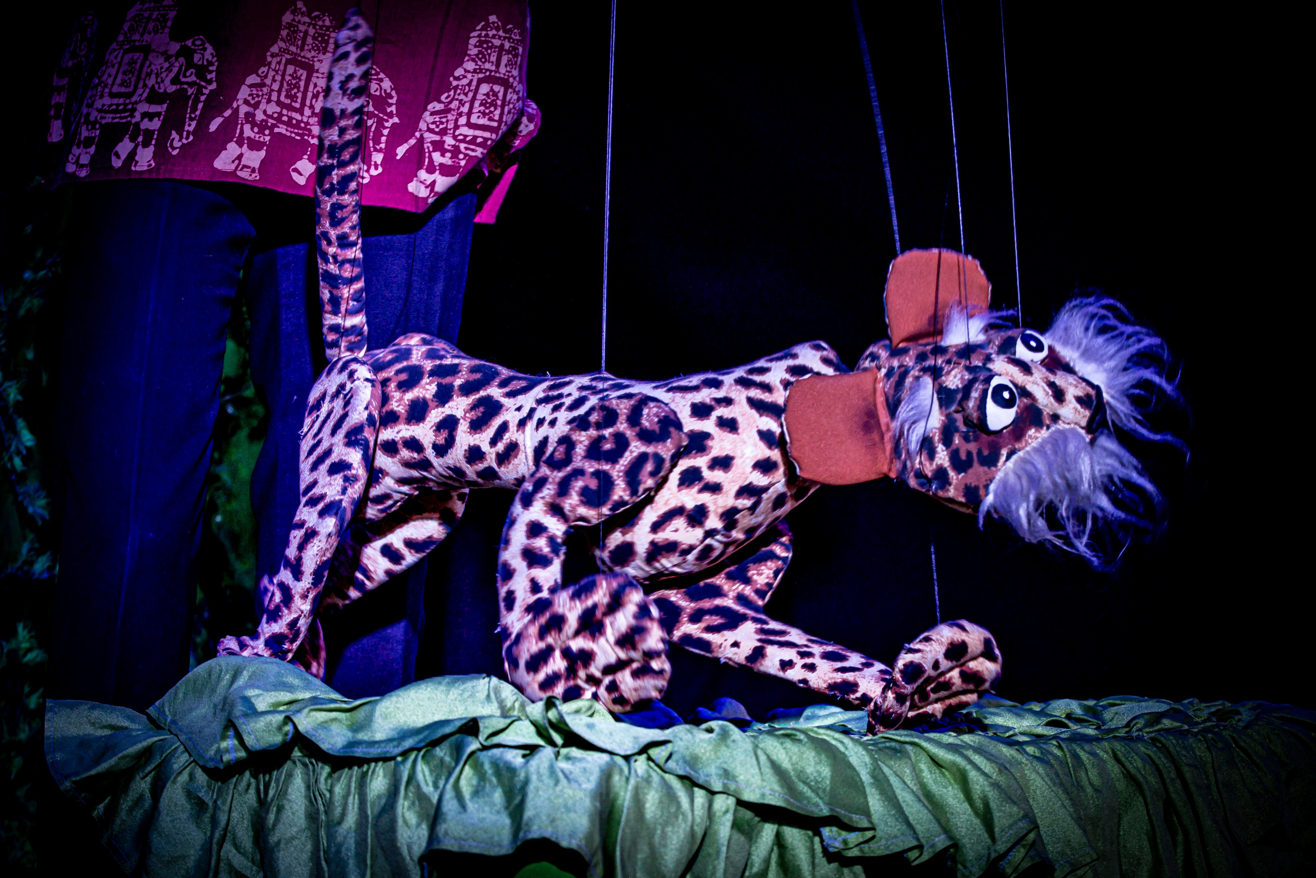 Любопытный слоненок спектакль театра Саквояж. Фотограф в Сочи Юрий Шептаев