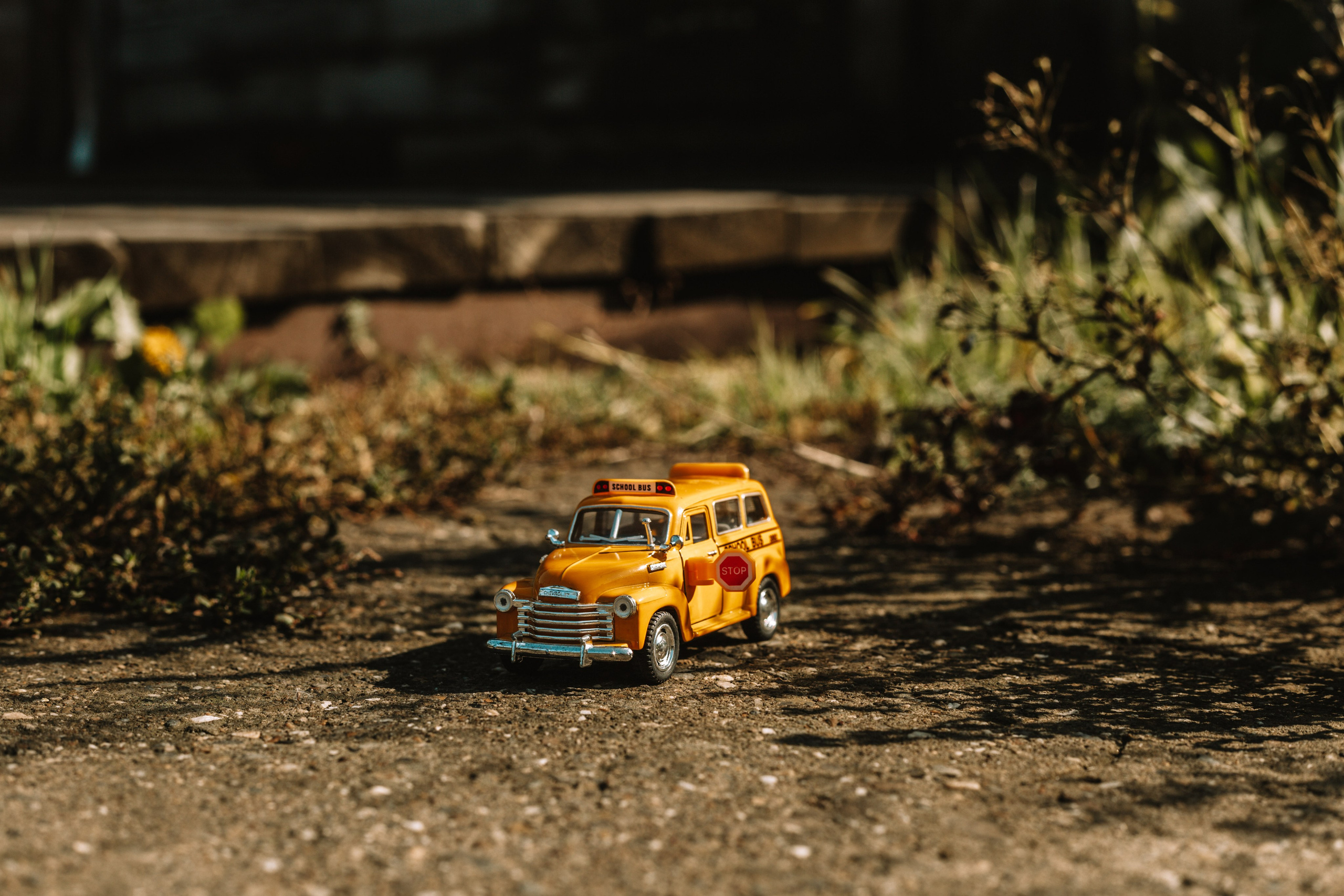 Машины. Фотограф Олеся Кавлакан