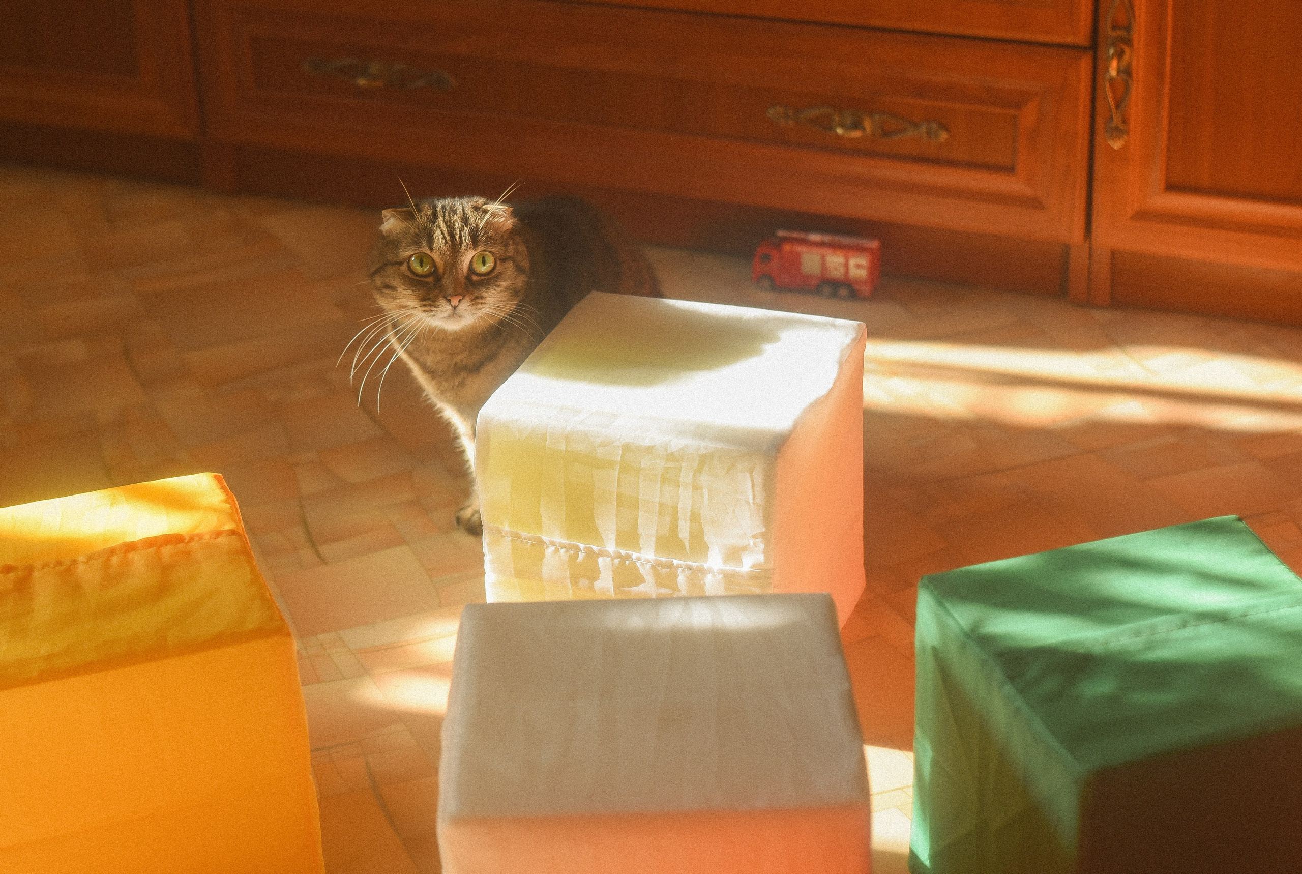 Квартира 99. Детский и семейный фотограф в Новосибирске Саша Дорошенко