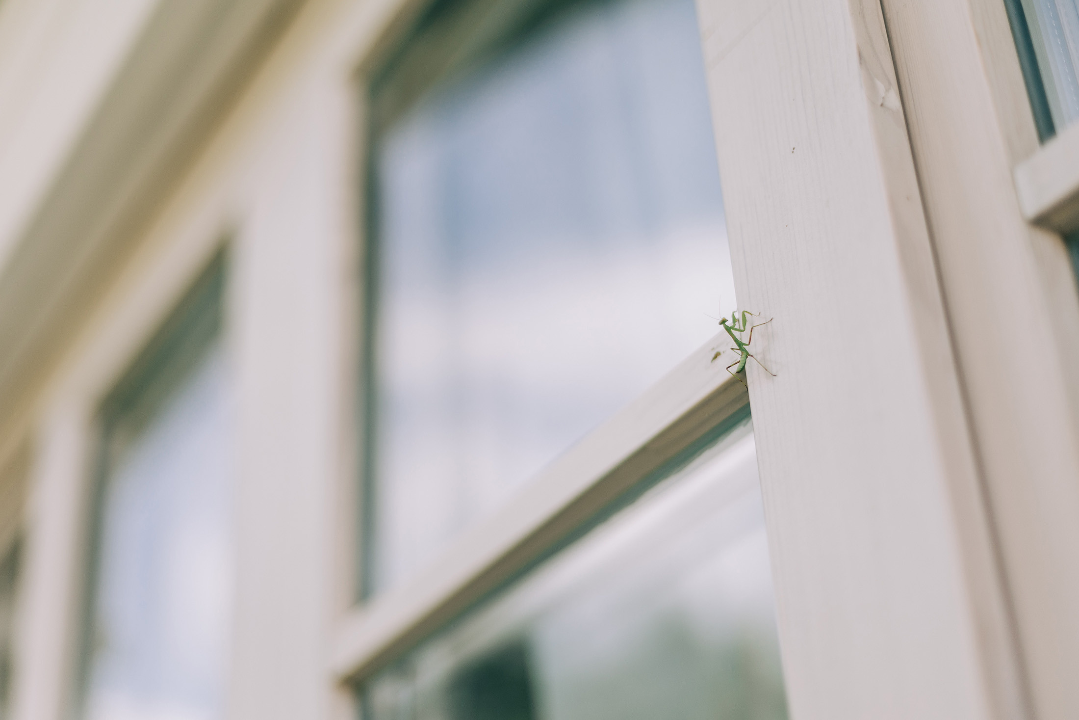 Саша и Света Абрау-Дюрсо. Свадебный и семейный фотограф в Краснодаре Роман Моско