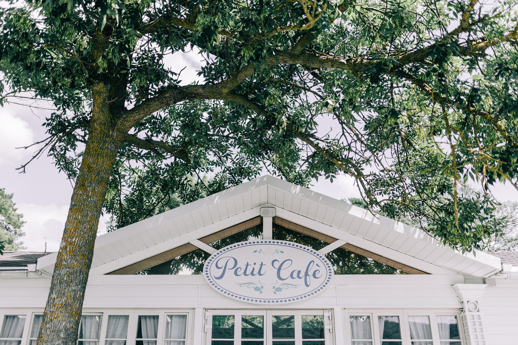 Саша и Света Абрау-Дюрсо. Свадебный и семейный фотограф в Краснодаре Роман Моско