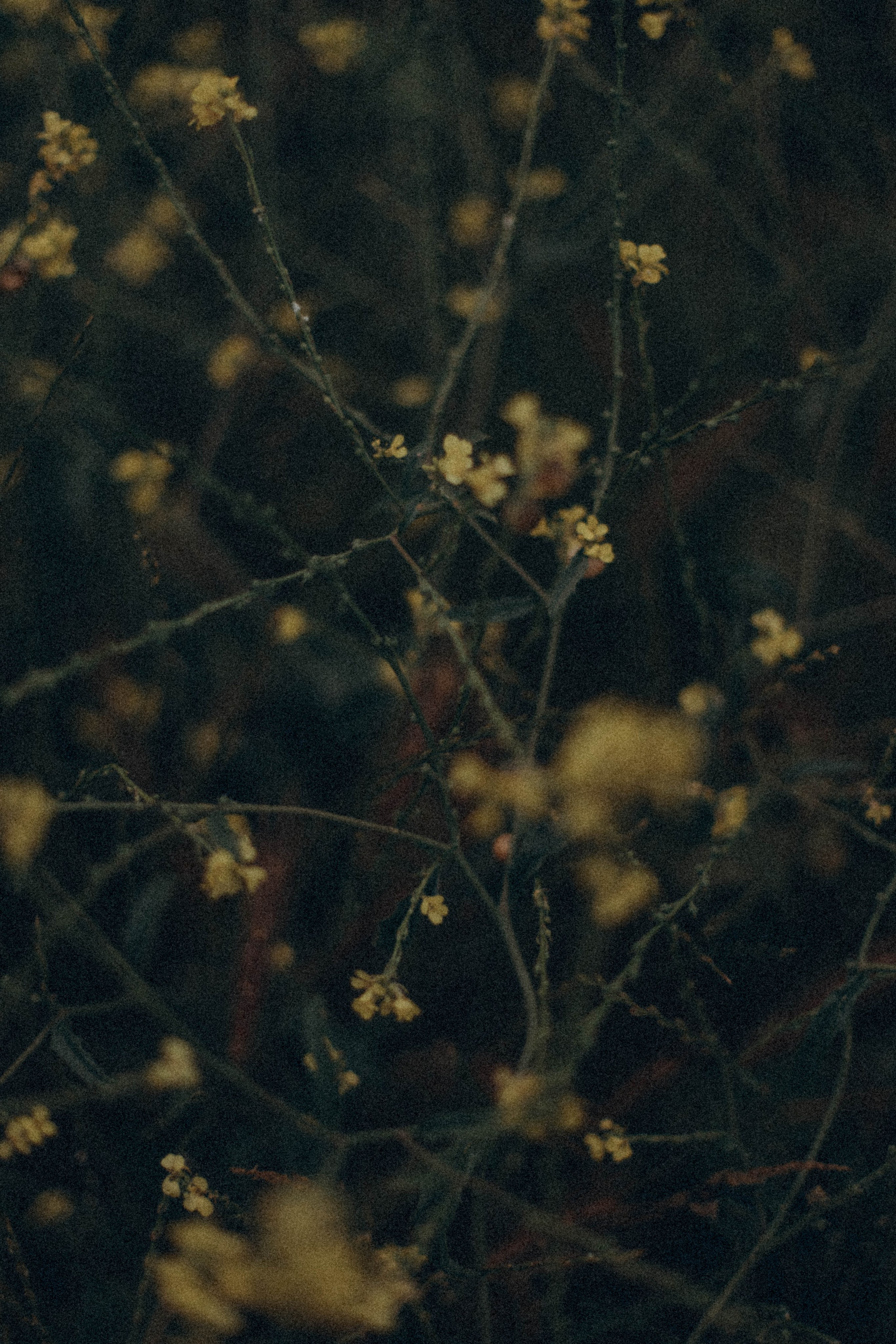 DETSTVO. Фотограф в Геленджике Елизавета Гудина