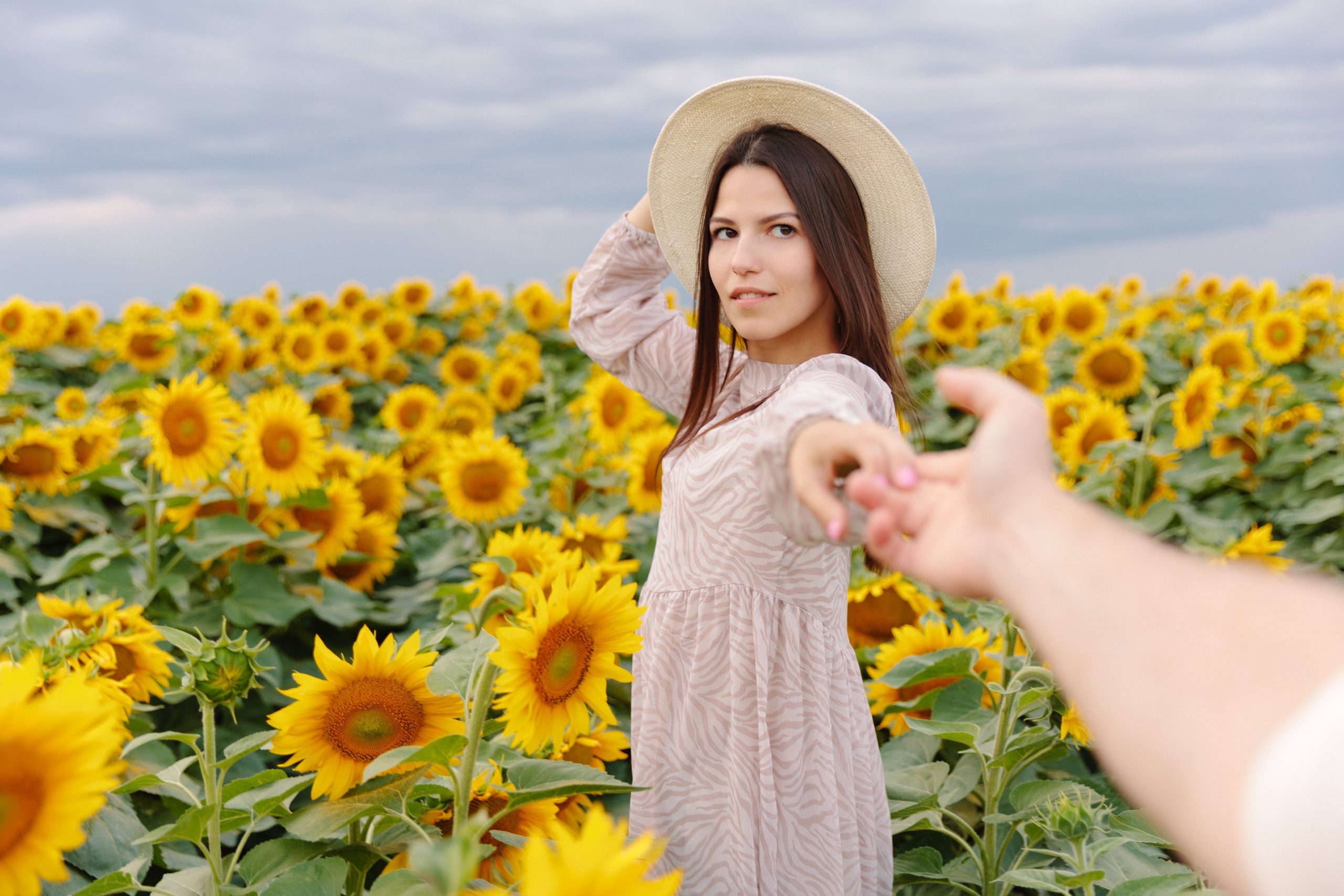 Подсолнухи. Dima Lemeshevsky