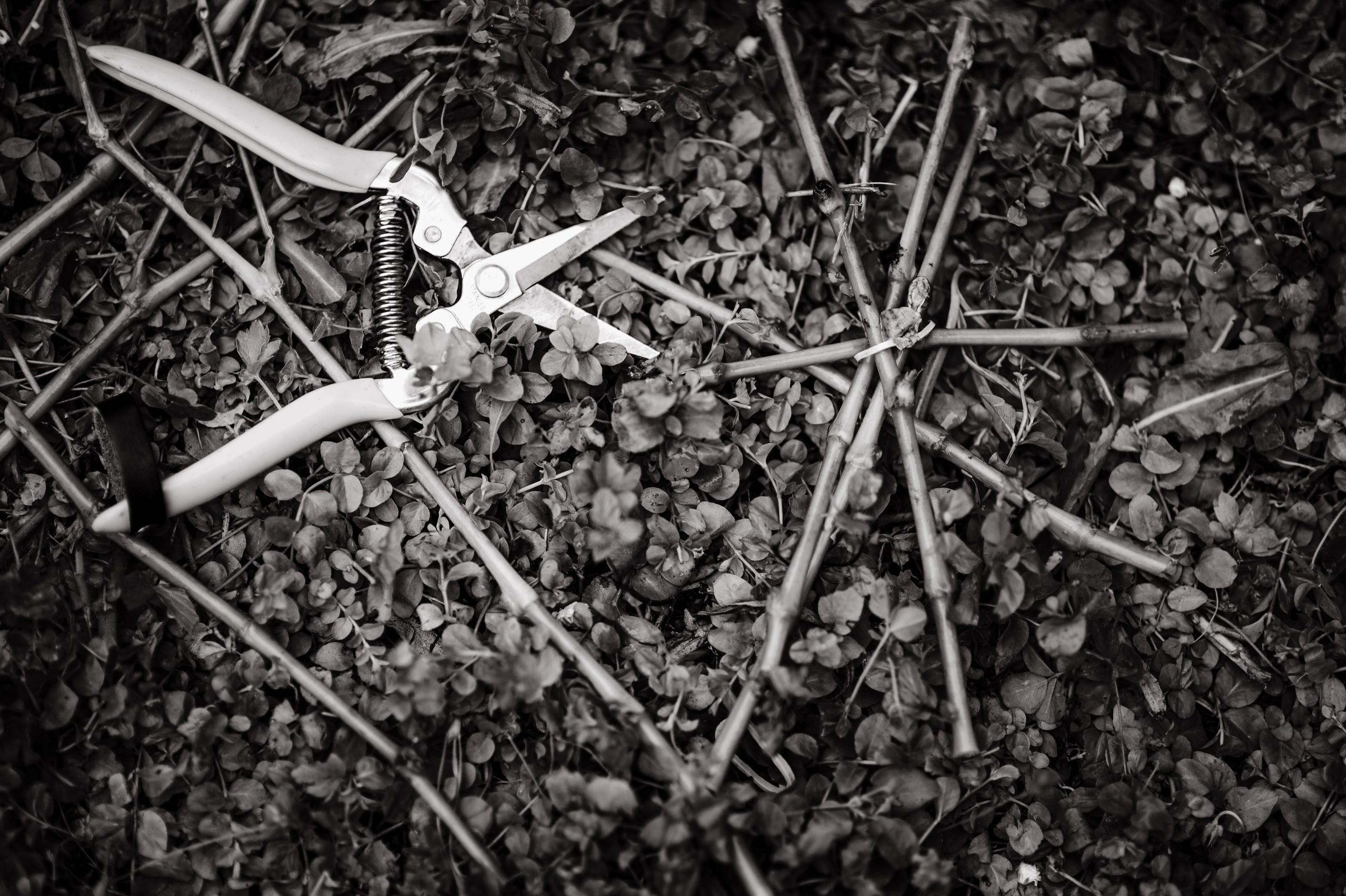 Съёмка свадебного декора. 100-й пруд. Свадебный фотограф Константинова Елена