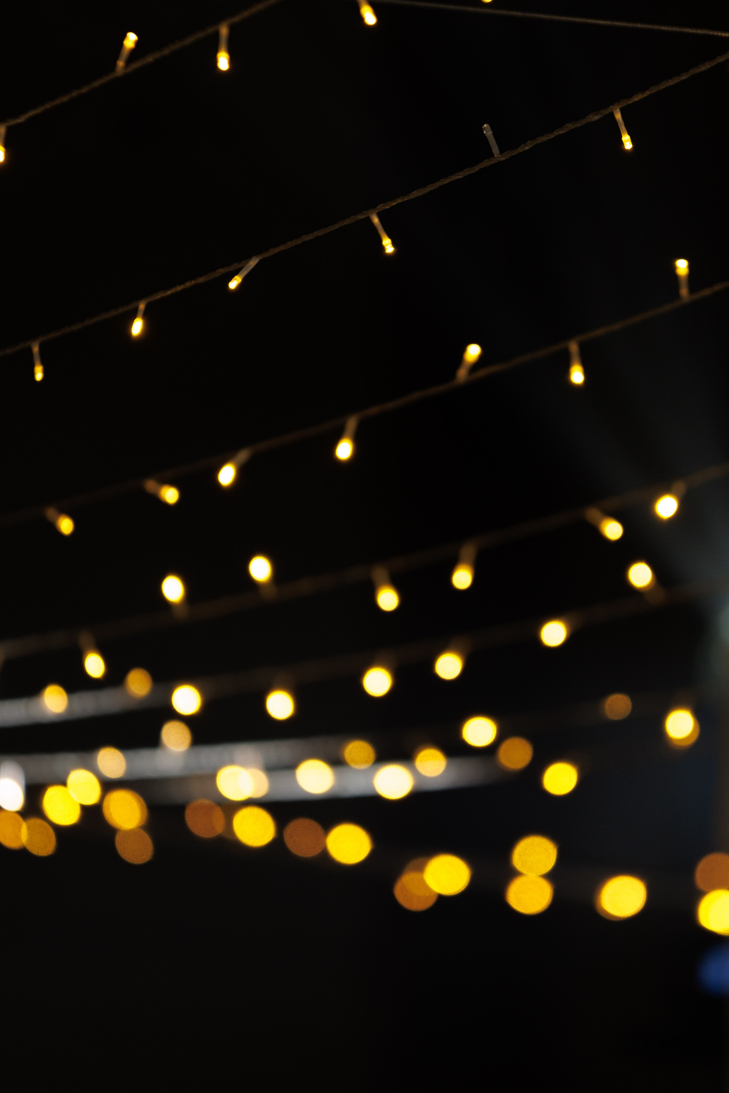 G&P. Фотограф Таганрог Хребет София