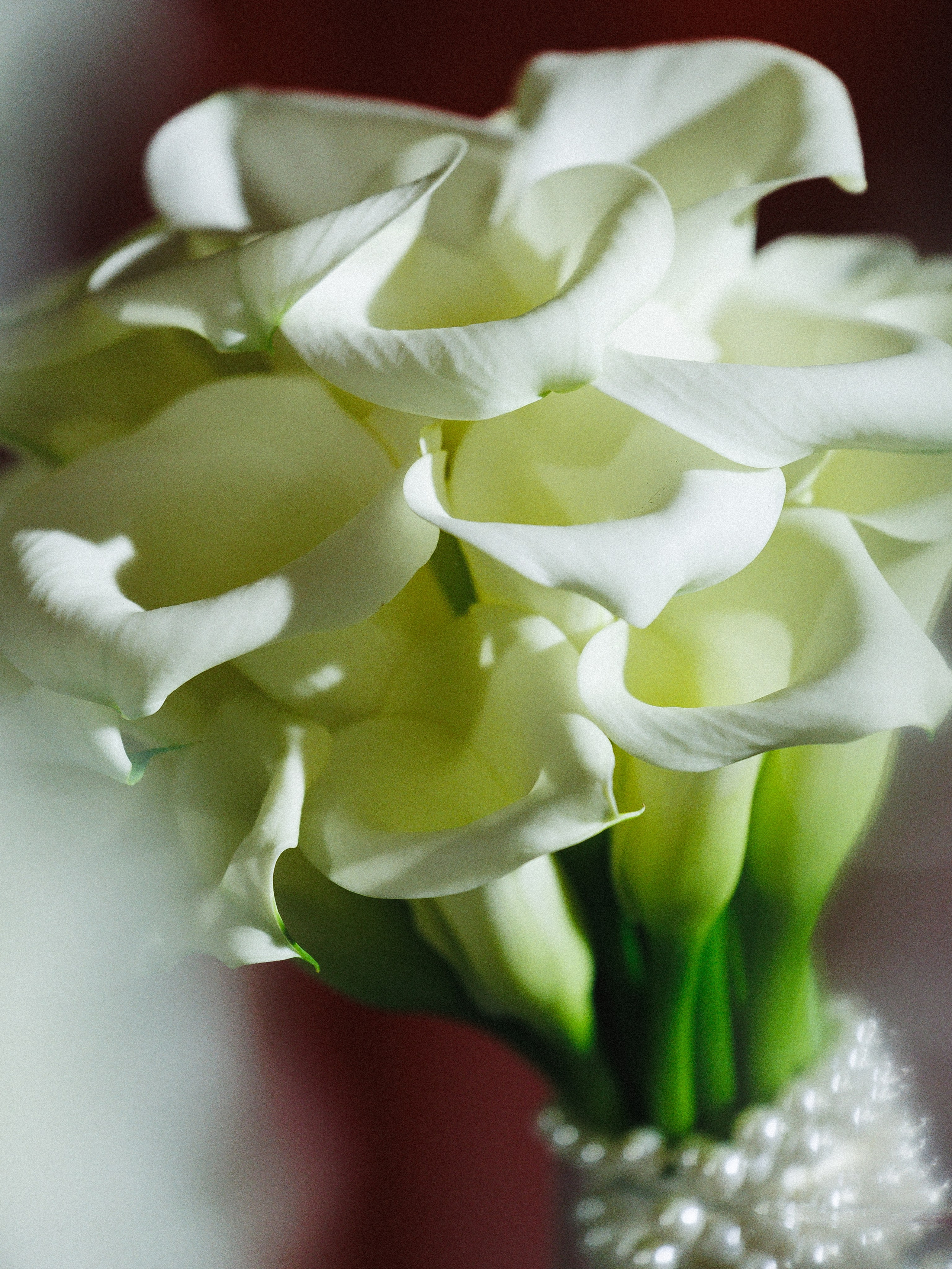 Павел и Анастасия. Свадебное агентство Amorewed Agency