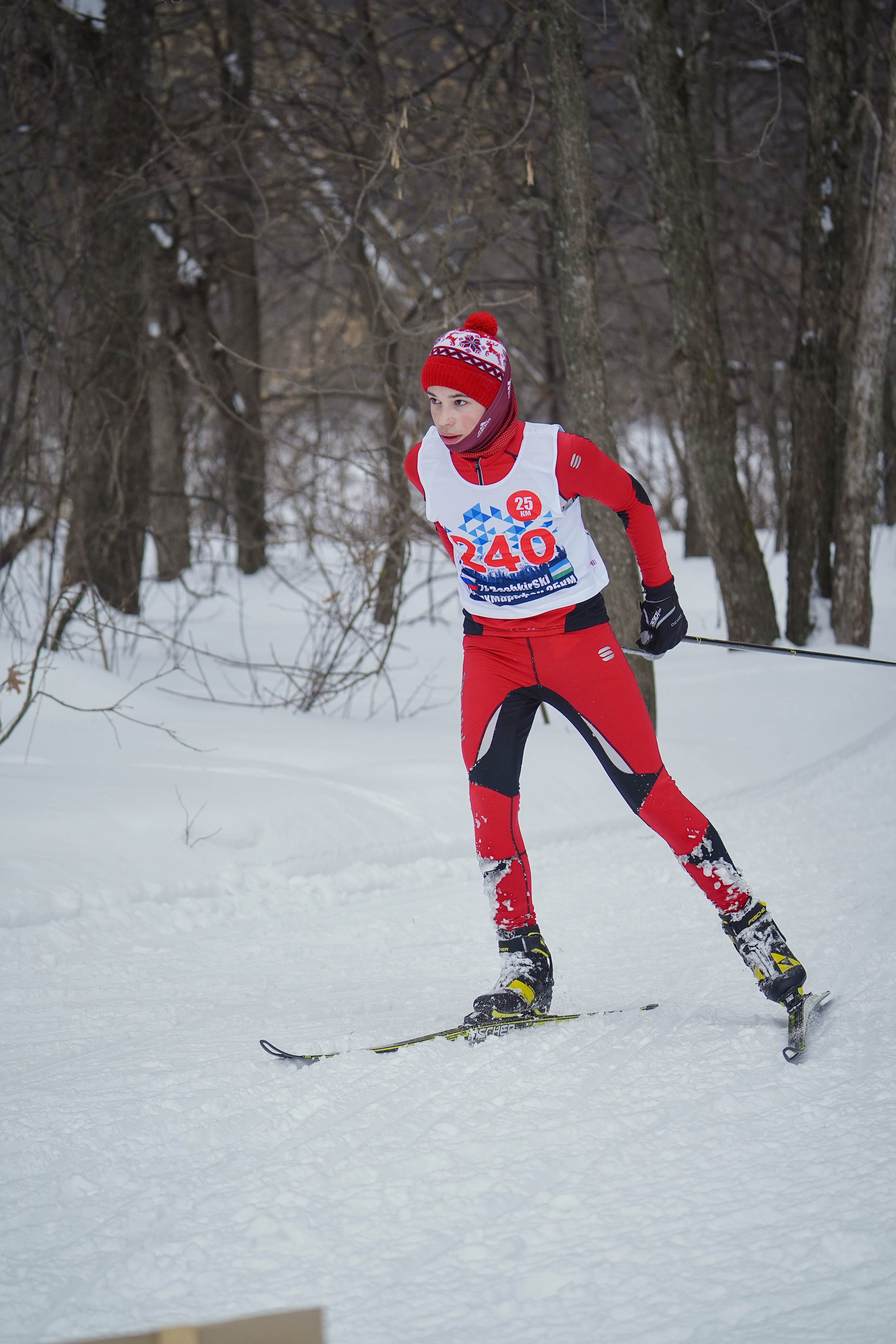 4-й BASHKIR-SKI Лыжный Сверхмарафон 100 км. Pupov.png