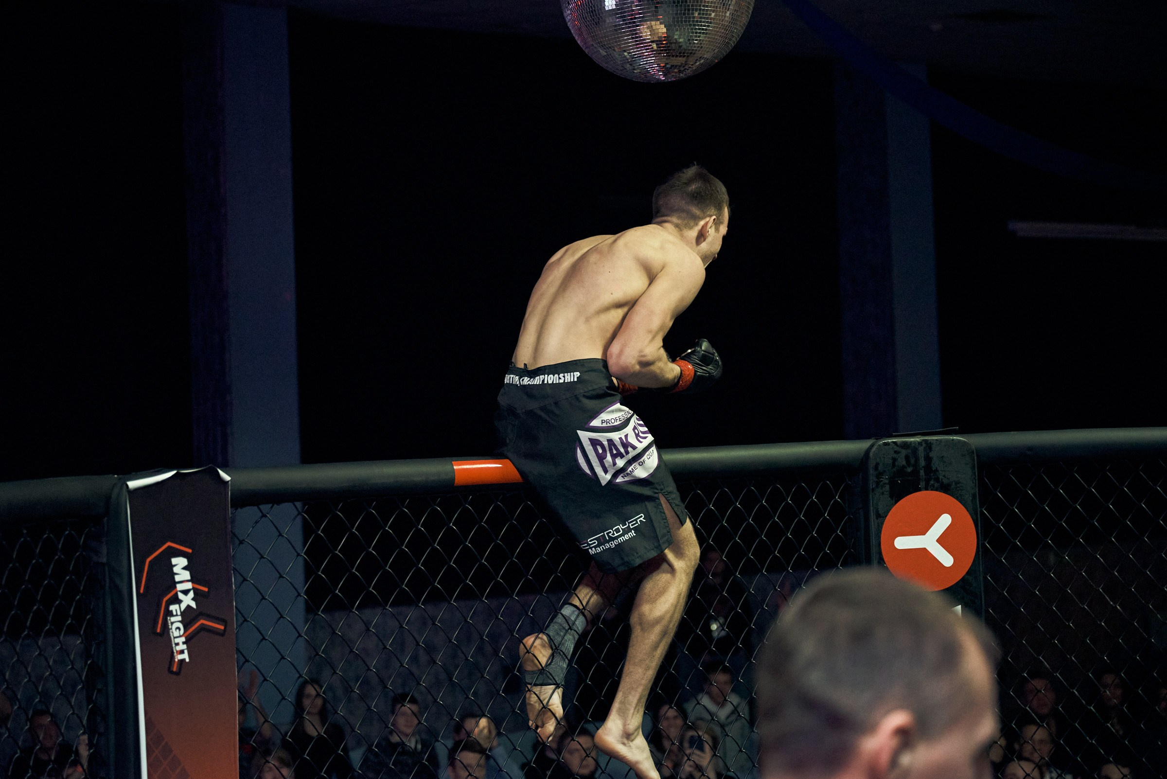 Бои. Маляревич Дмитрий свадебный фотограф