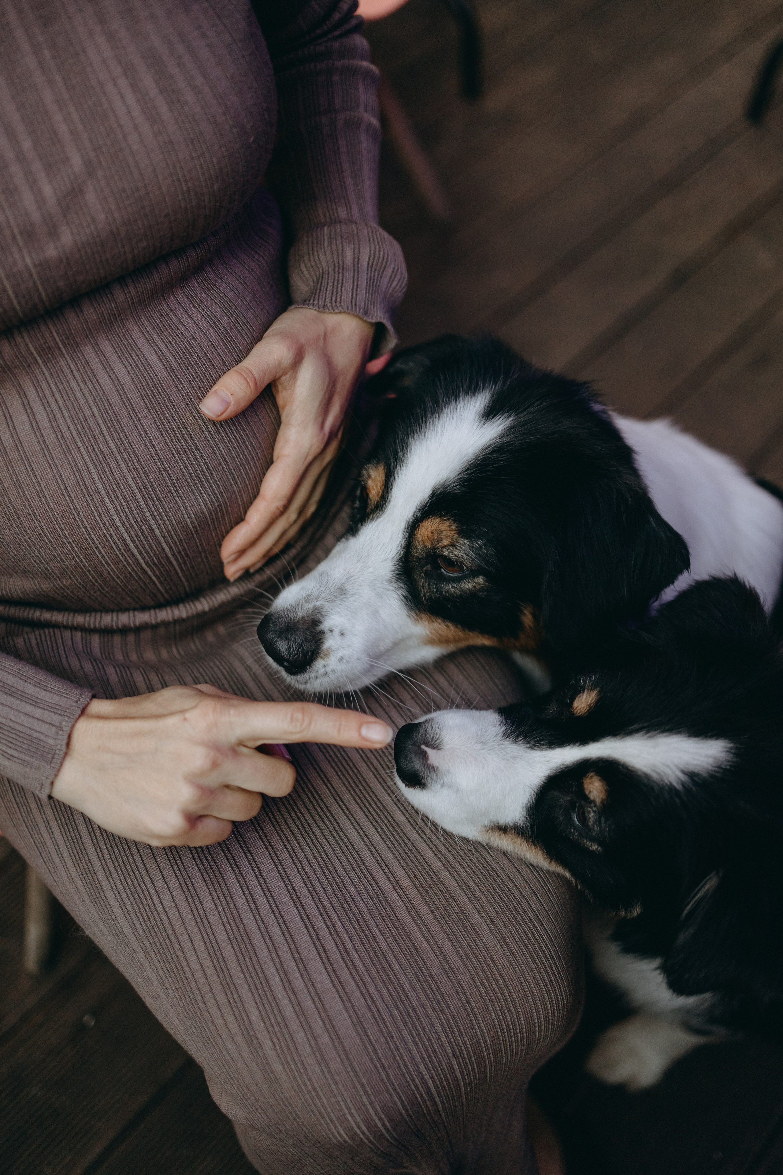 Катя и ее девочки. Фотограф — Анималист | Санкт-Петербург