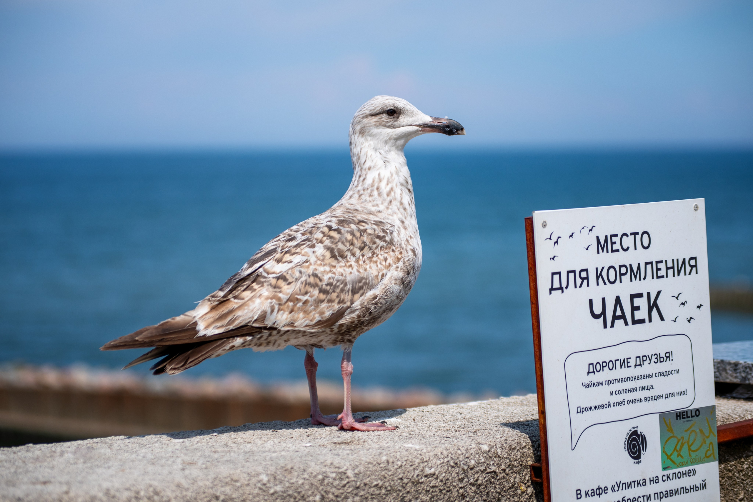 Истории. Фотограф Сергей Мосевнин
