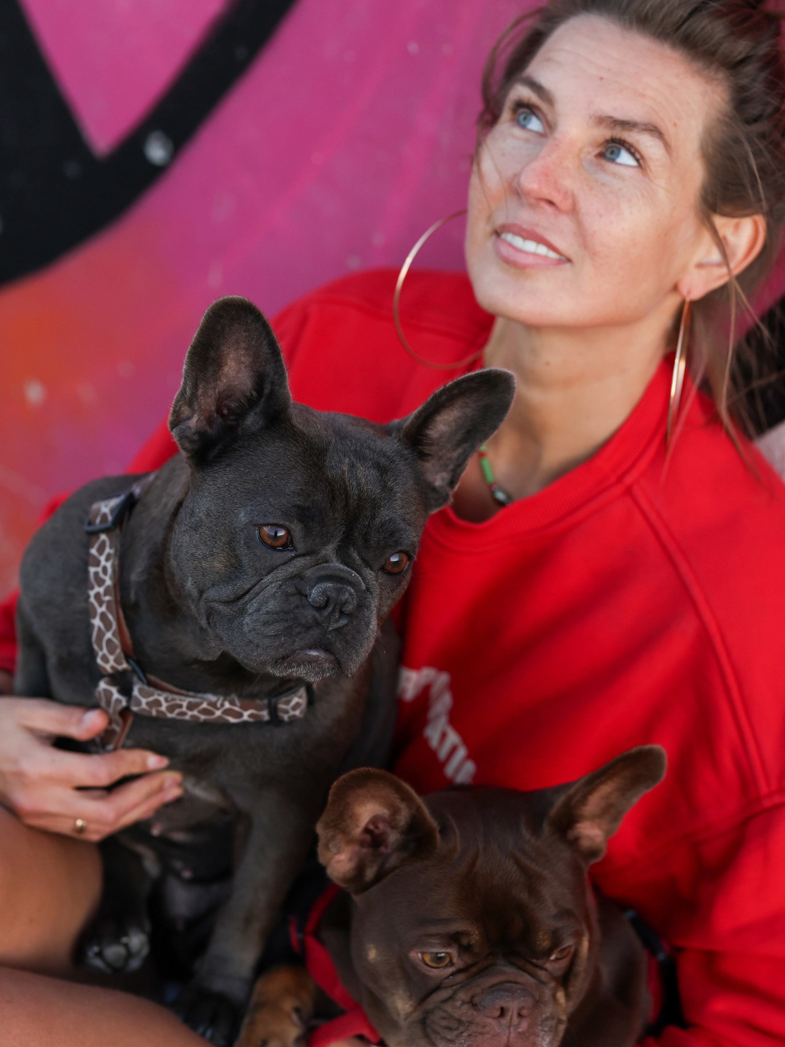 Белла, Луна и Нелли. Фотограф-анималист в Москве Кириллова Татьяна