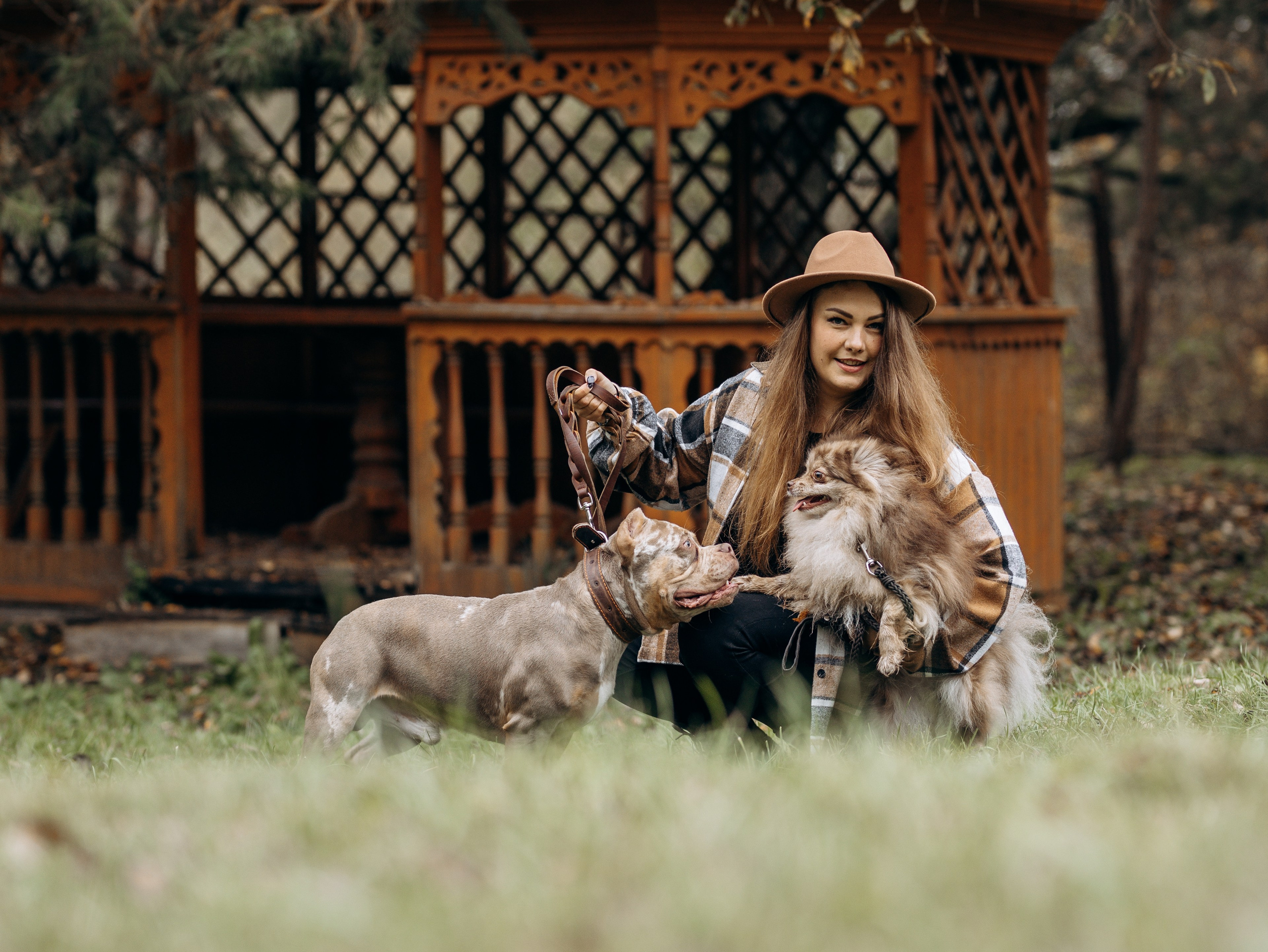 Скай, Марти и Катя. Фотограф-анималист в Москве Кириллова Татьяна