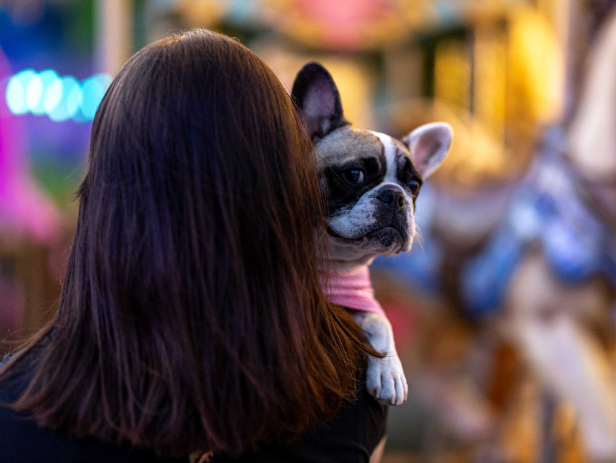 Пандора и Марго. Фотограф-анималист в Москве Кириллова Татьяна