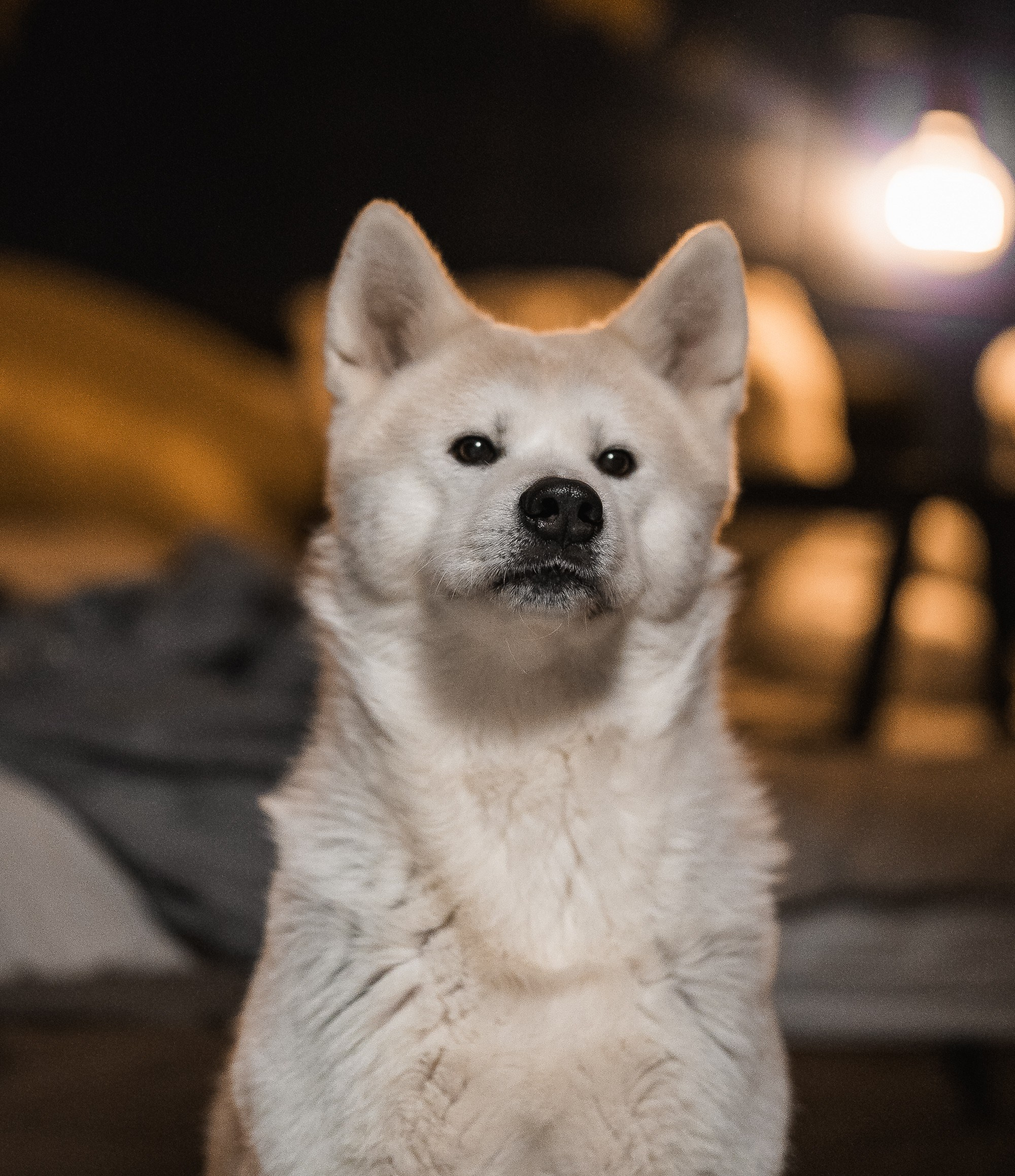 Фотограф и видеограф Нарчев Алексей