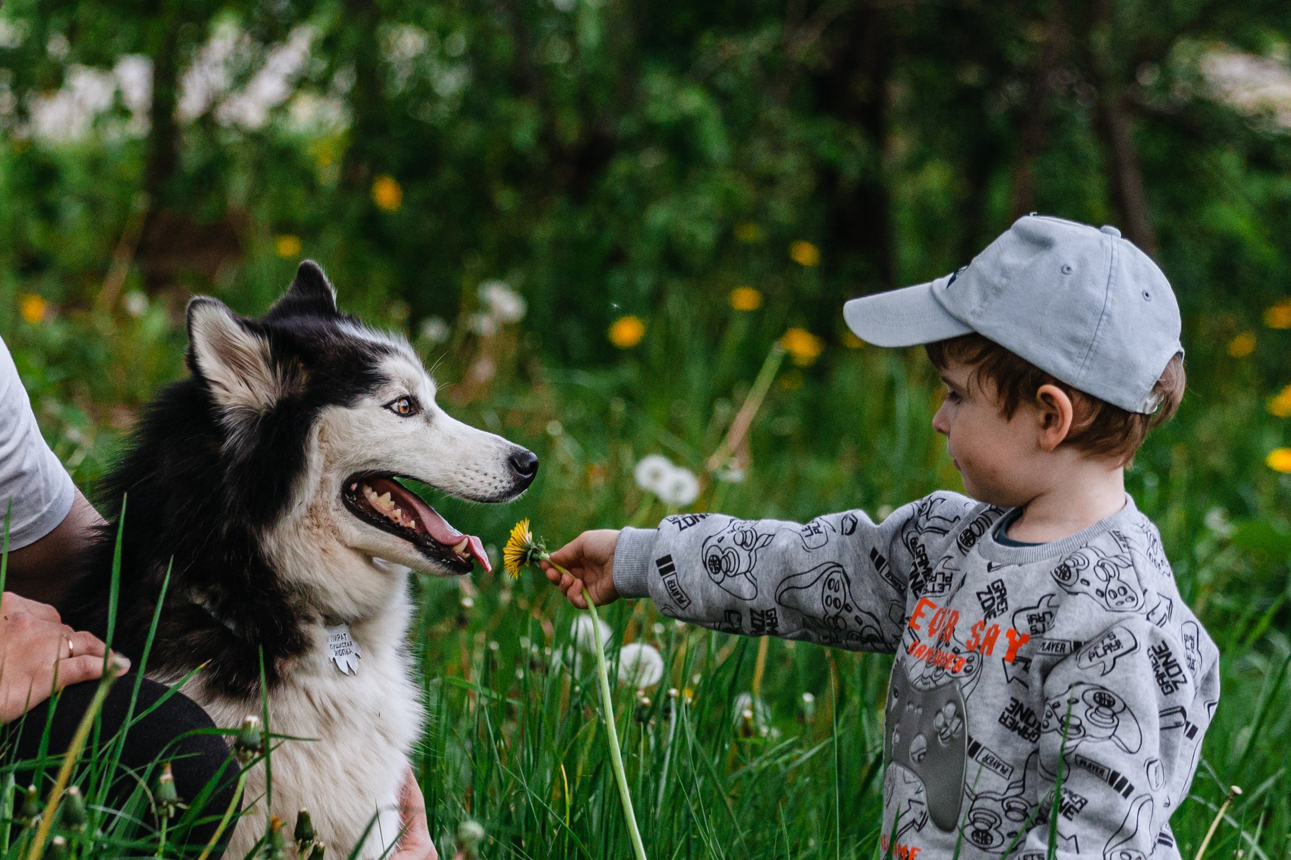 Семейная экспресс фотосессия в рамках фотодня. Фотограф-анималист Татьяна Степанова