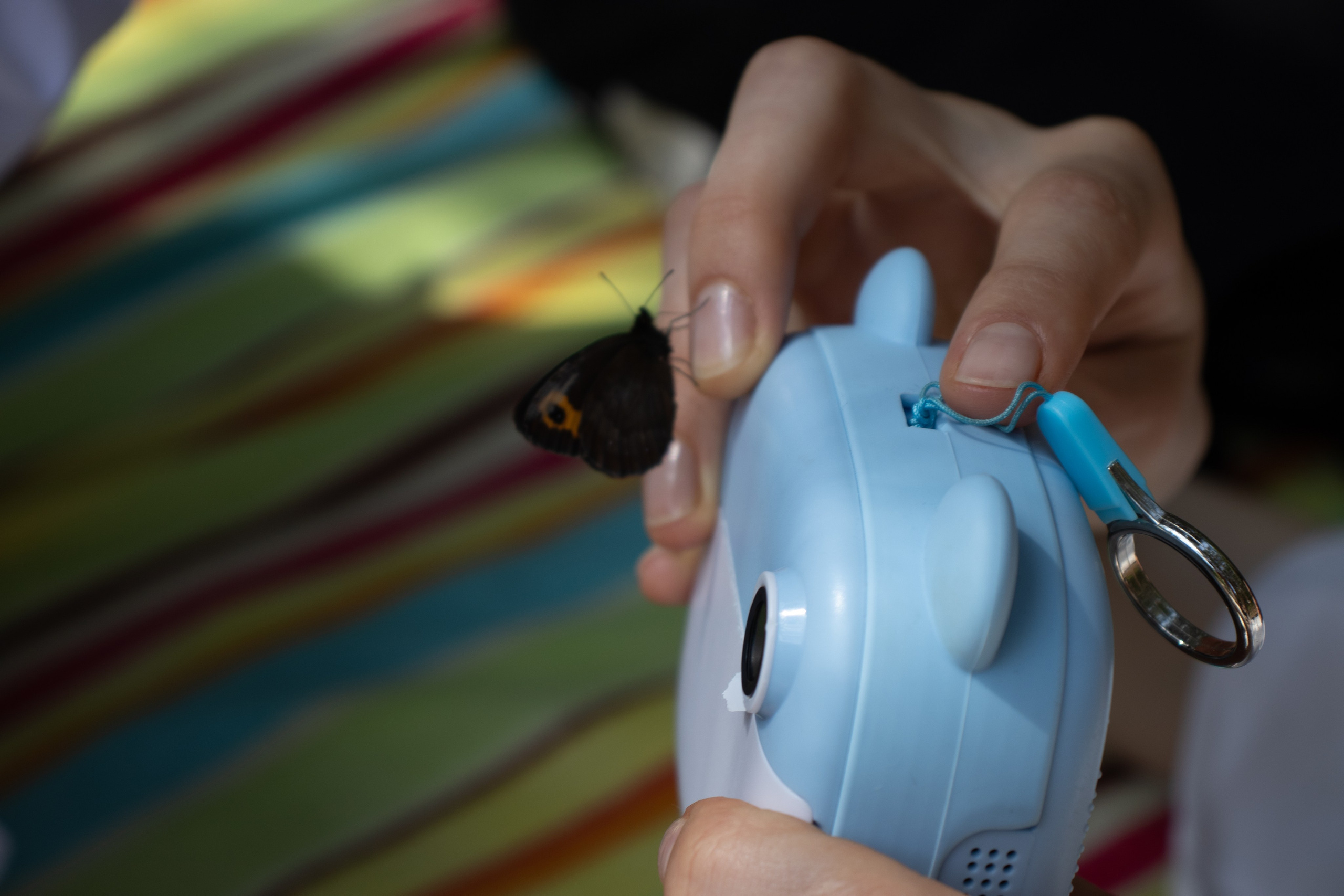 Портфолио. Художник и фотограф в Иркутске Алтухова Полина