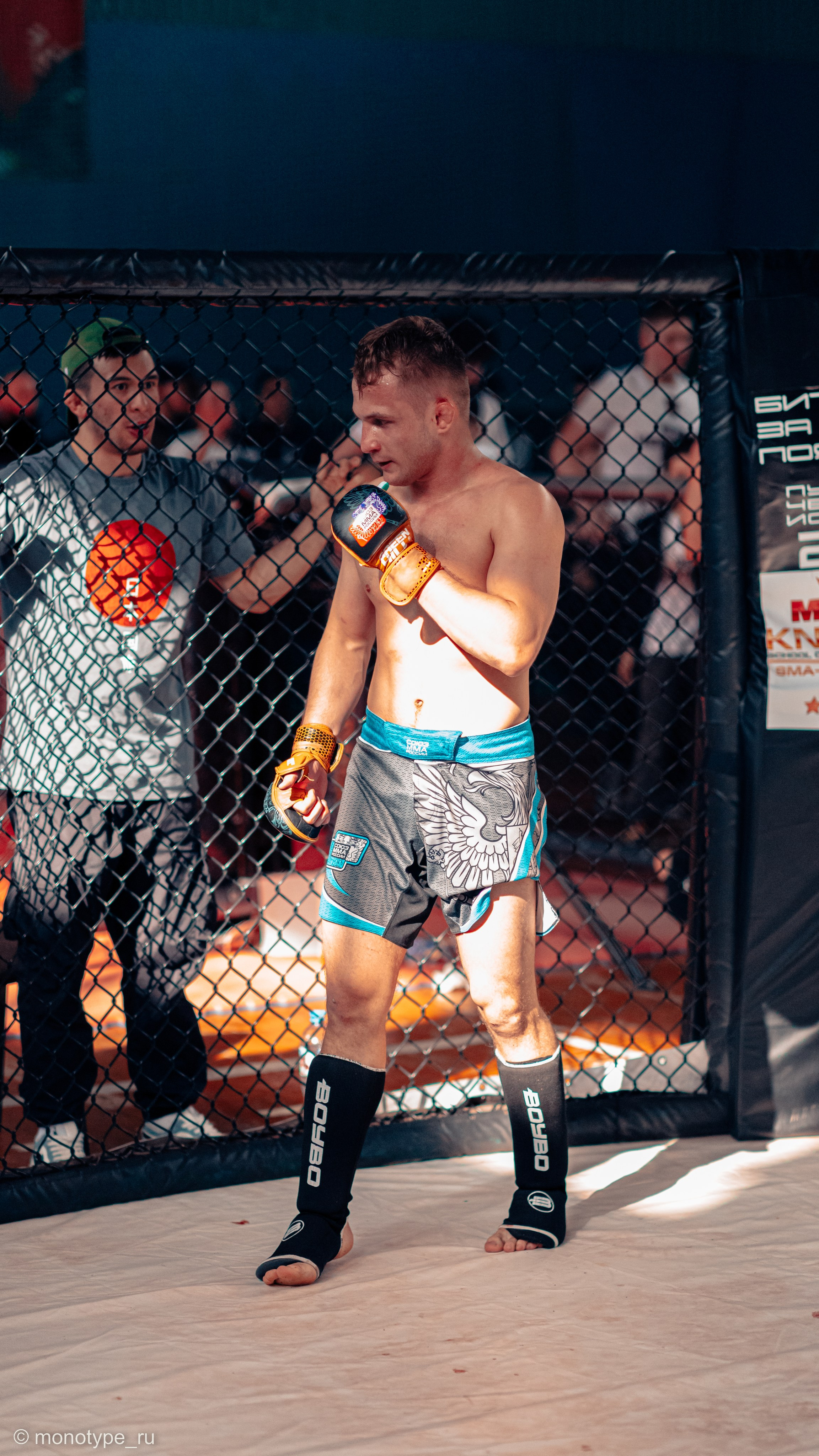 MMA. Бойцовский турнир