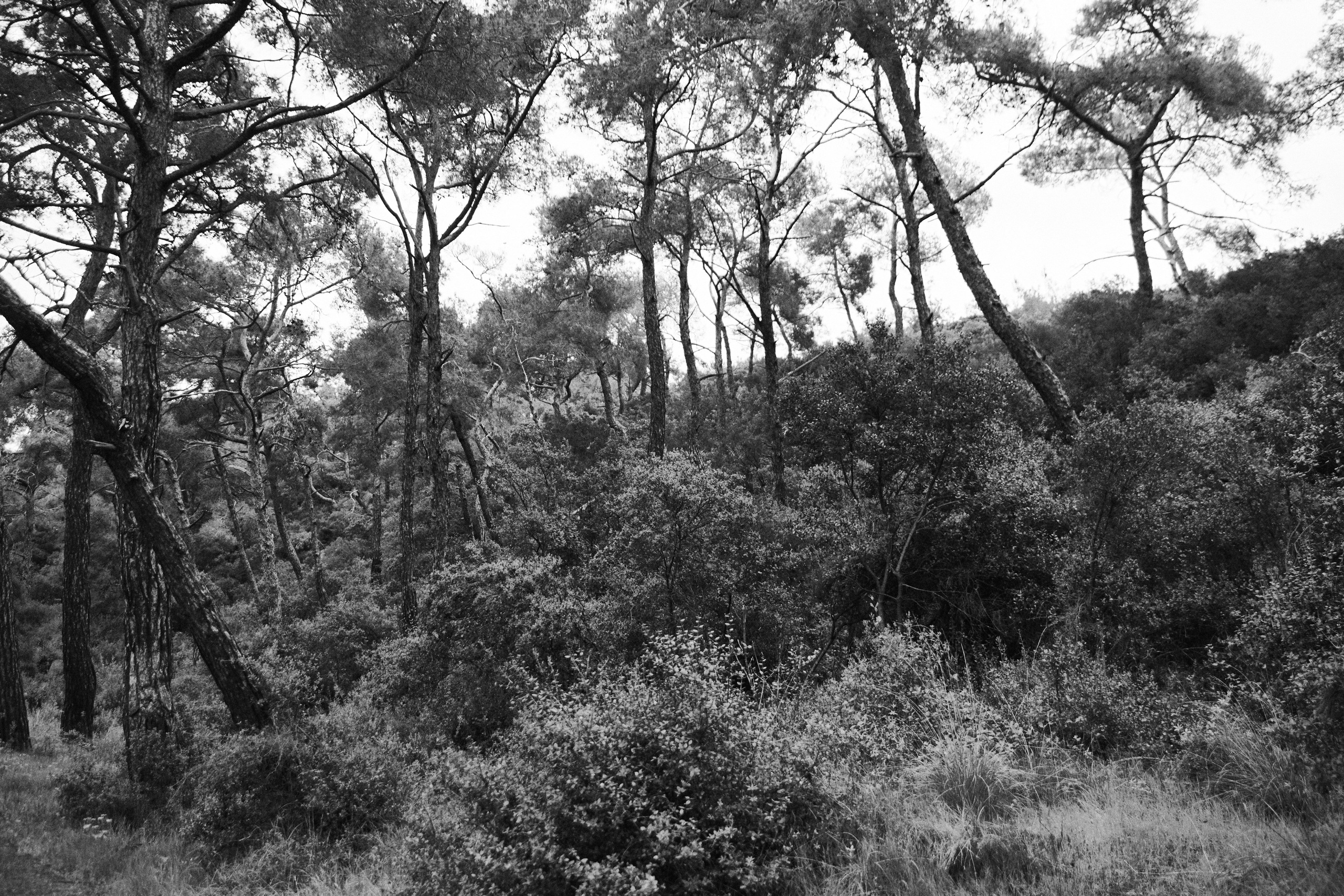 Улица горизонтальная. Jorgis — фотограф в Хургаде / обучение фотографии