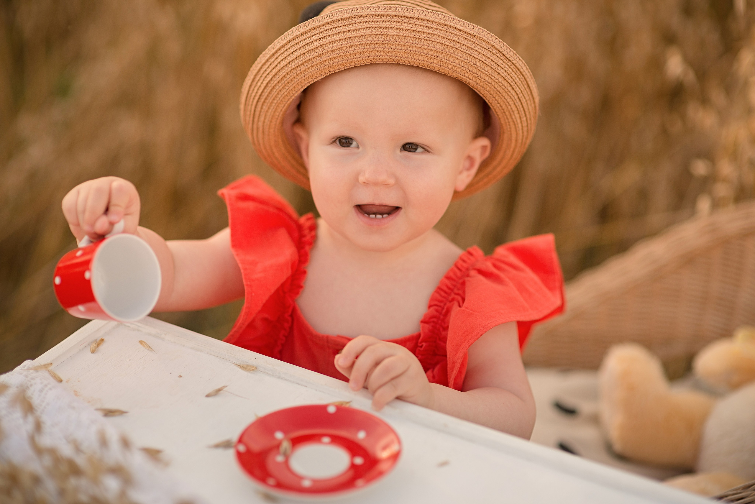 Чаепитие с медведем. Фотограф Москва — Серпухов — Таруса Ольга Кокеткина