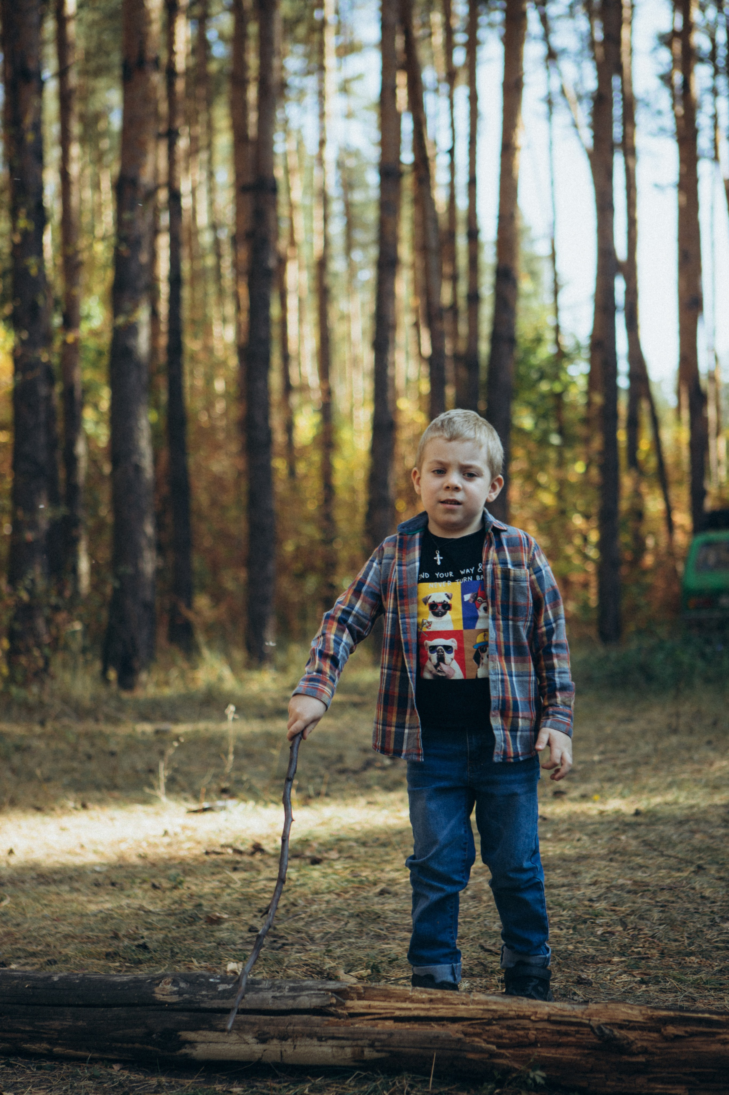 Лес. Семейный и репортажный фотограф в Орле