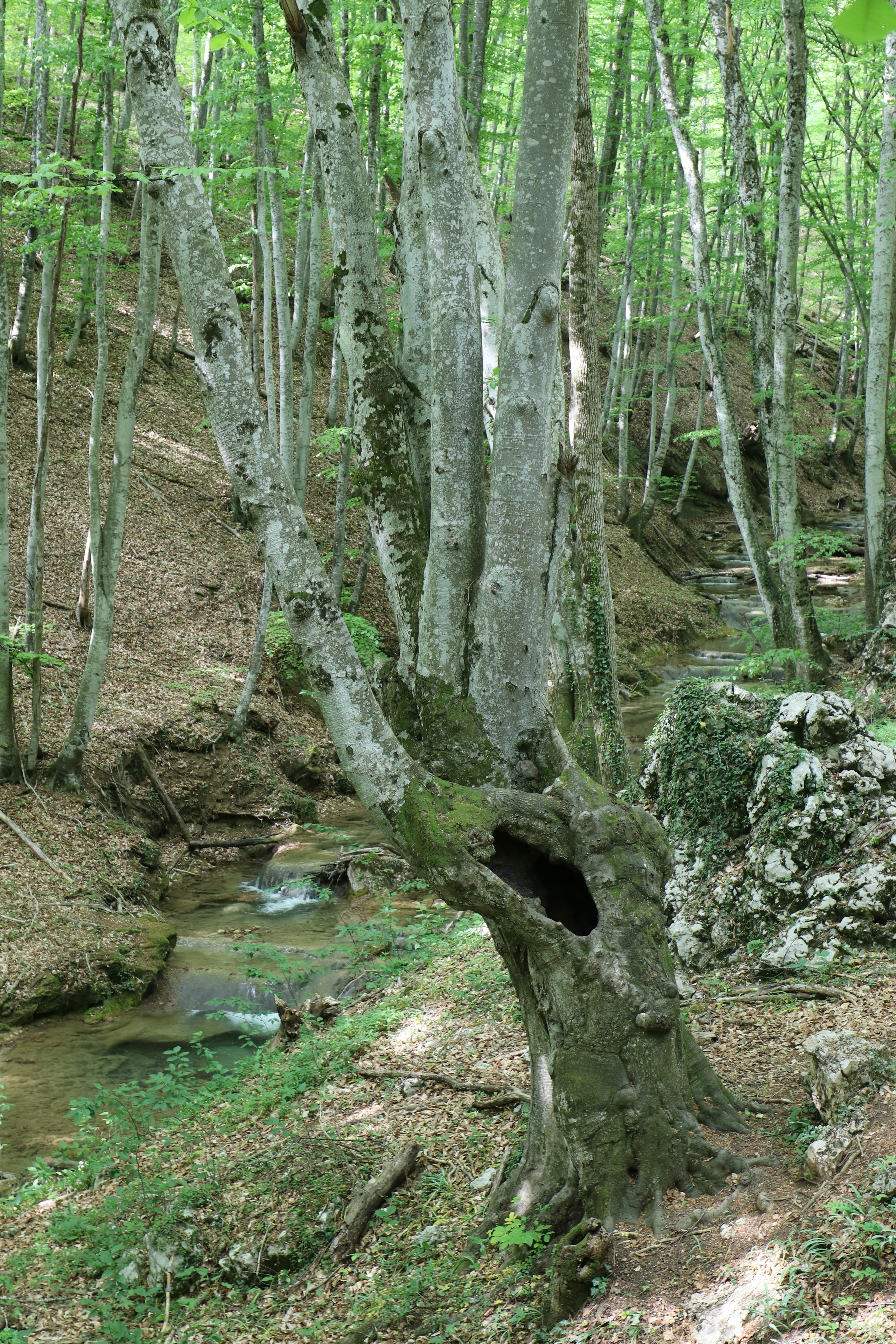 Крым. ЮБК (Бахчисарай, Демерджи, Судак). Первый скалолазный выезд. Май 2019. Путешественник-фотограф из Санкт-Петербурга Татьяна Свистулина