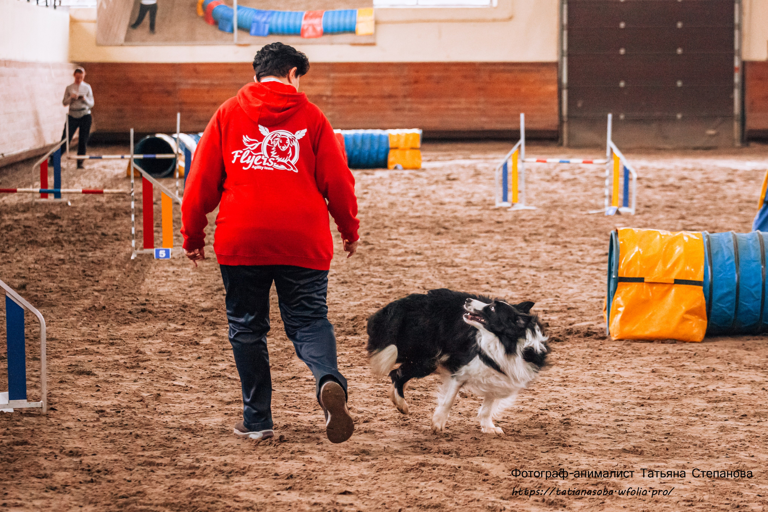 Соревнования по Аджилити 25.02.2024. Фотограф-анималист Татьяна Степанова