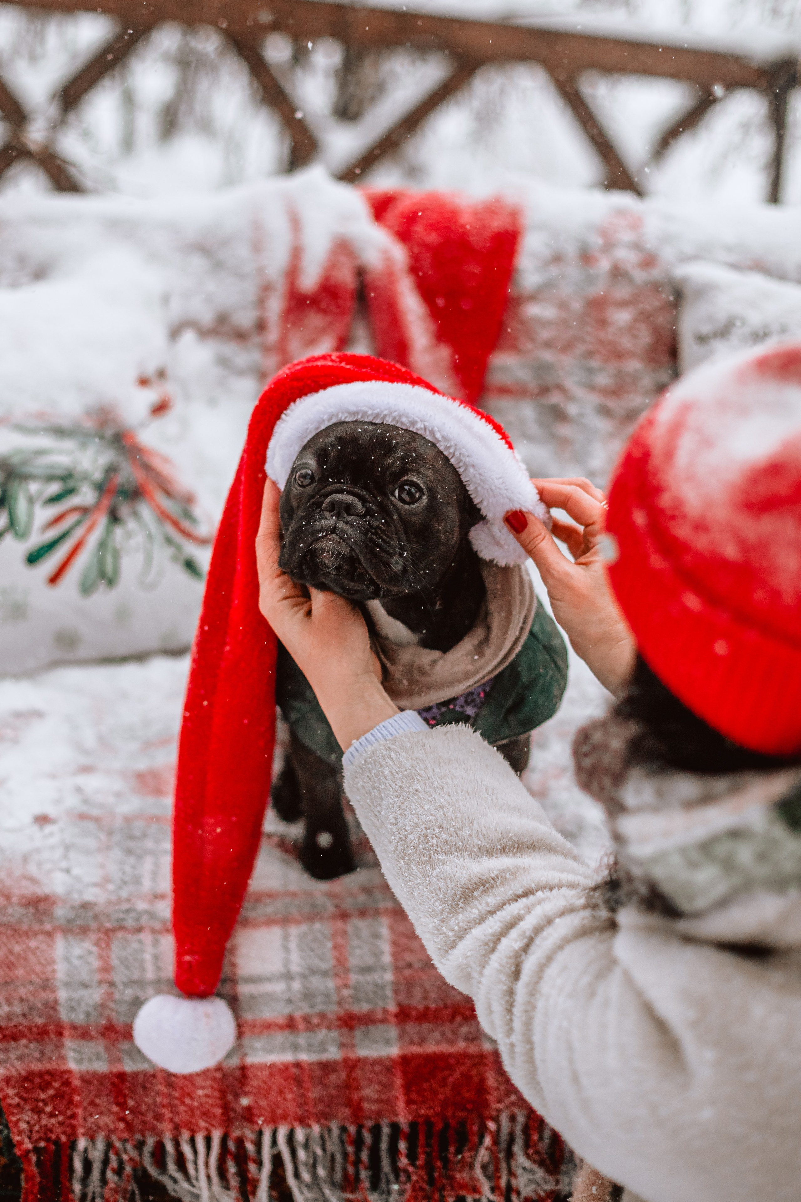 Кантри Хаус. Фотограф-анималист Татьяна Степанова