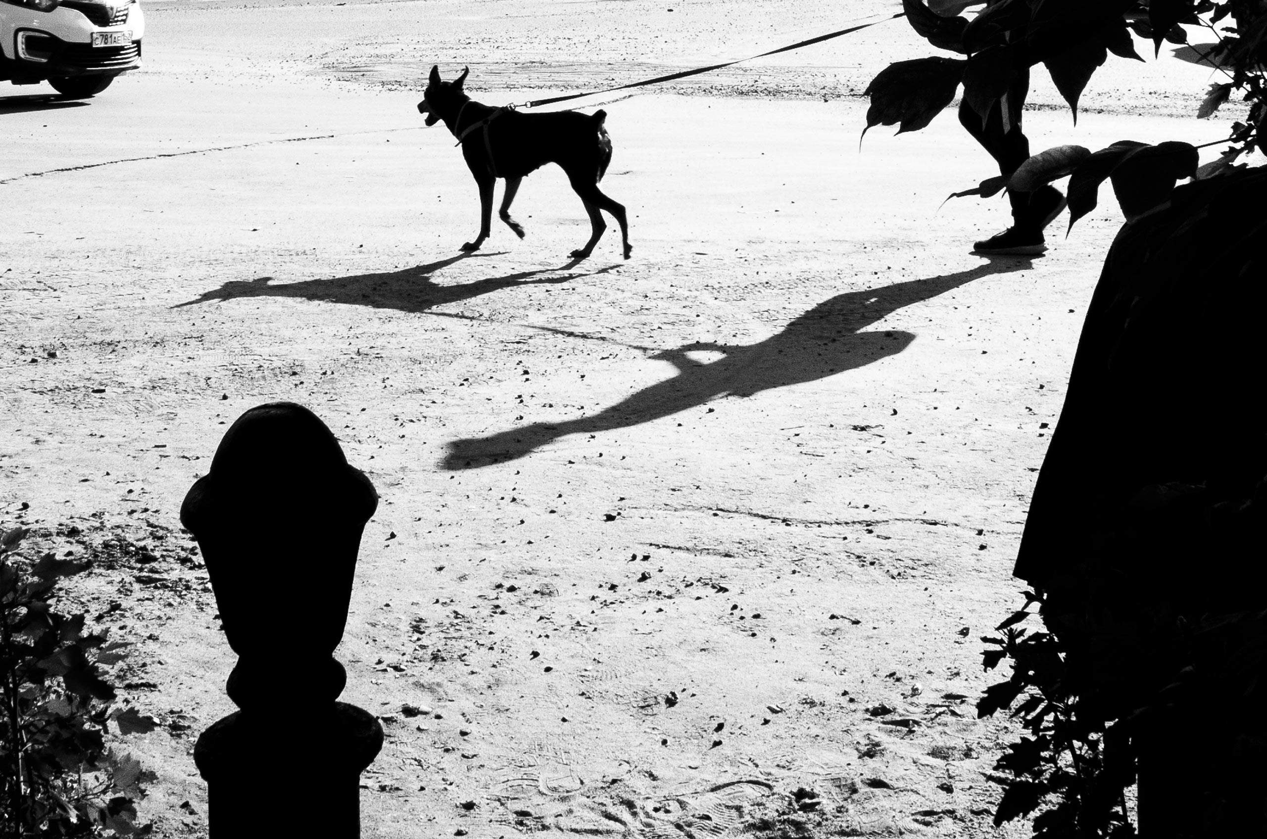 Самые черные фотографии. Артём Линейцев, фотограф