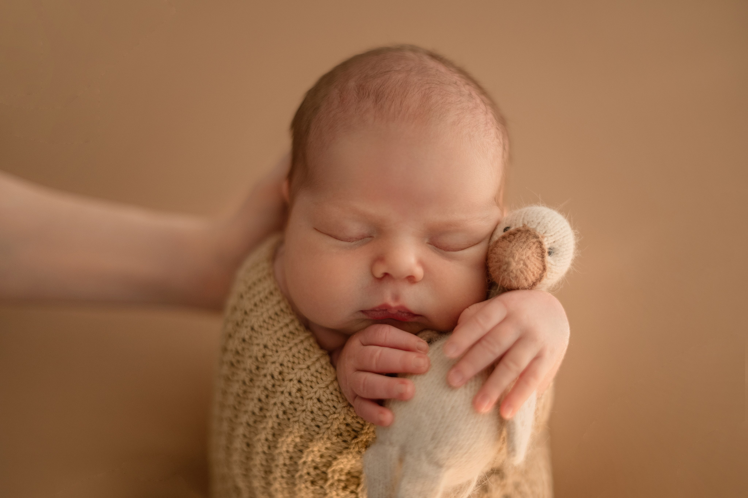Кокон. Фотограф новорождённых в Сочи Наталия Дмитриева