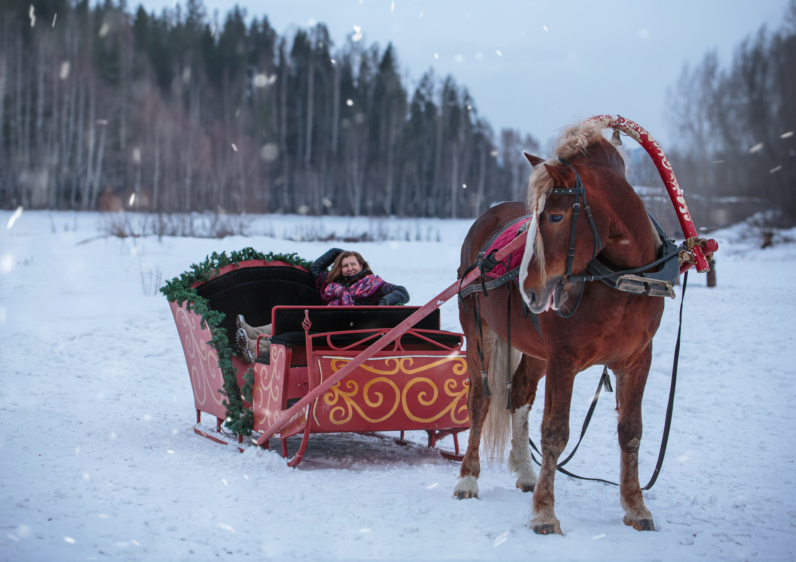 Карета 24. Конный фотограф в Красноярске — Любовь Похабова