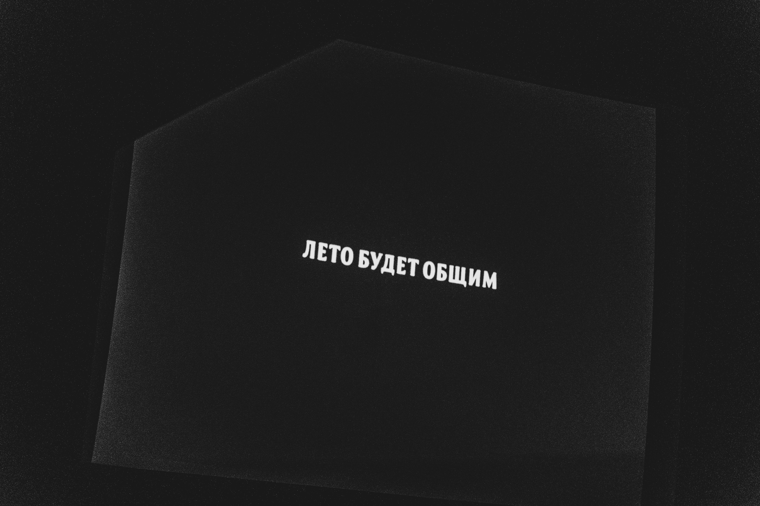 Премьера фильма|"Лето будет общим» 2026. Репортажный и свадебный фотограф Хадеева Алина/Санкт-Петербург
