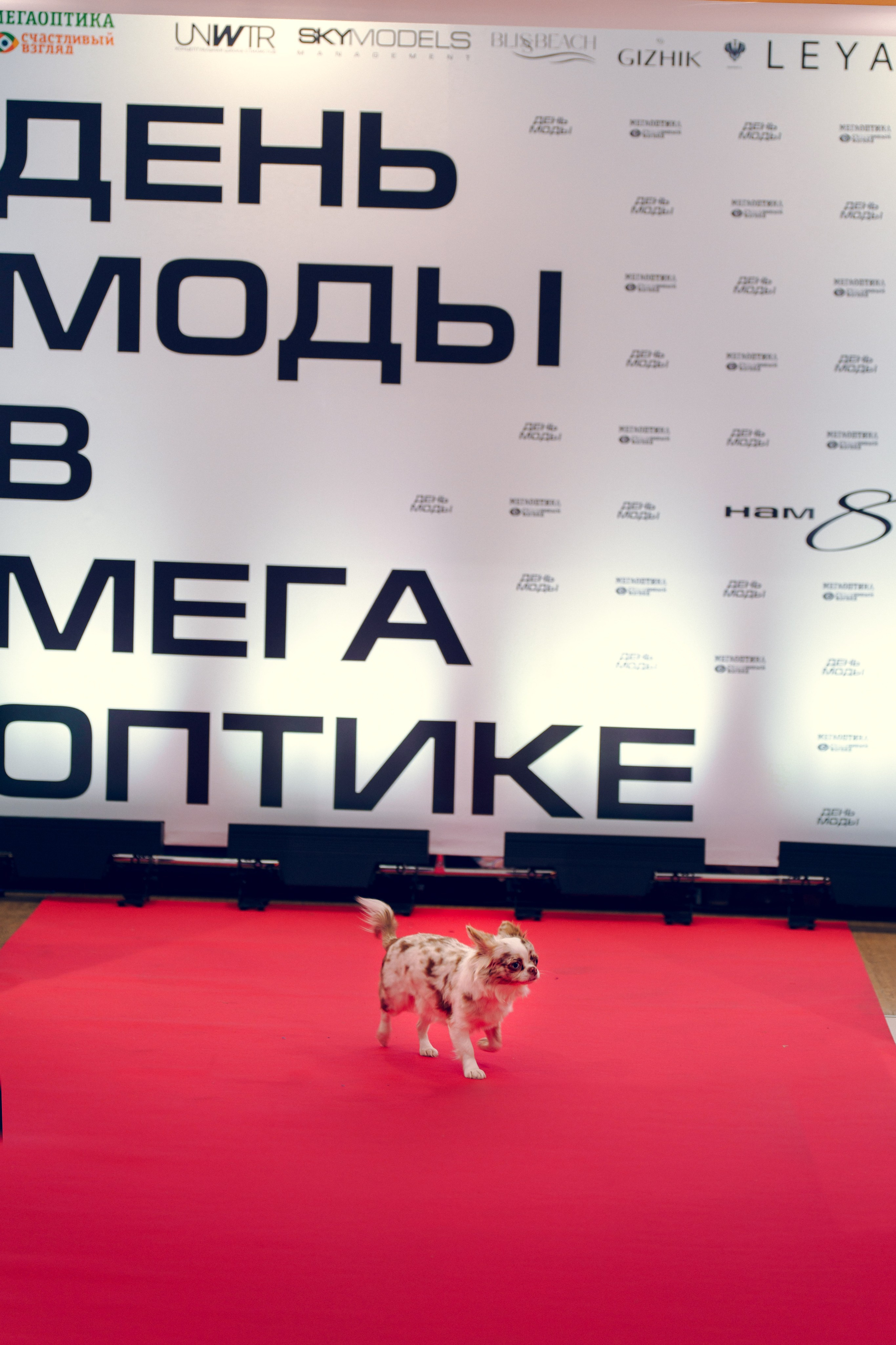 Модный показ очков|Оптика «Счастливый взгляд» 2026. Репортажный и свадебный фотограф Хадеева Алина/Санкт-Петербург