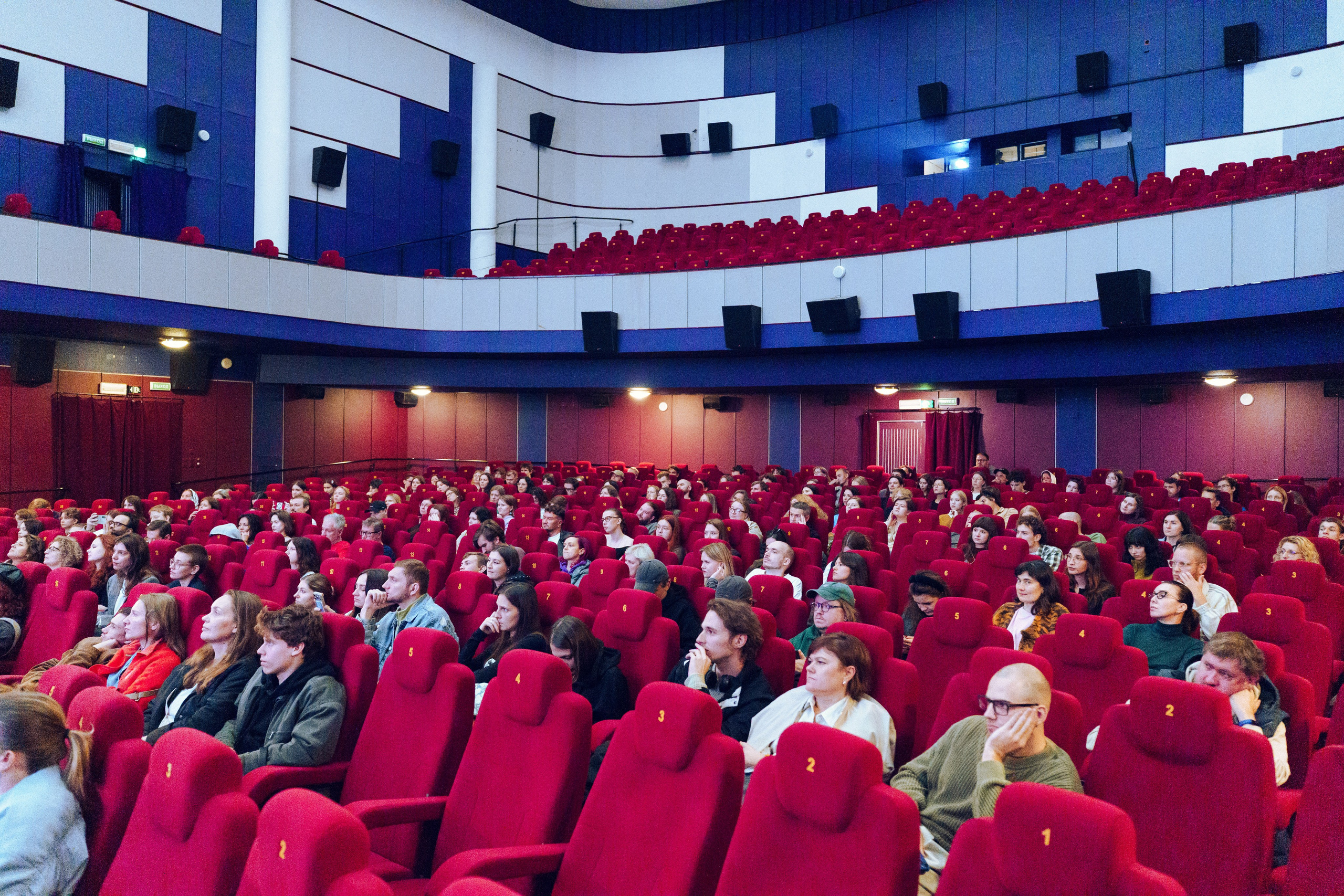 Премьера фильма|"Лето будет общим» 2026. Репортажный и свадебный фотограф Хадеева Алина/Санкт-Петербург
