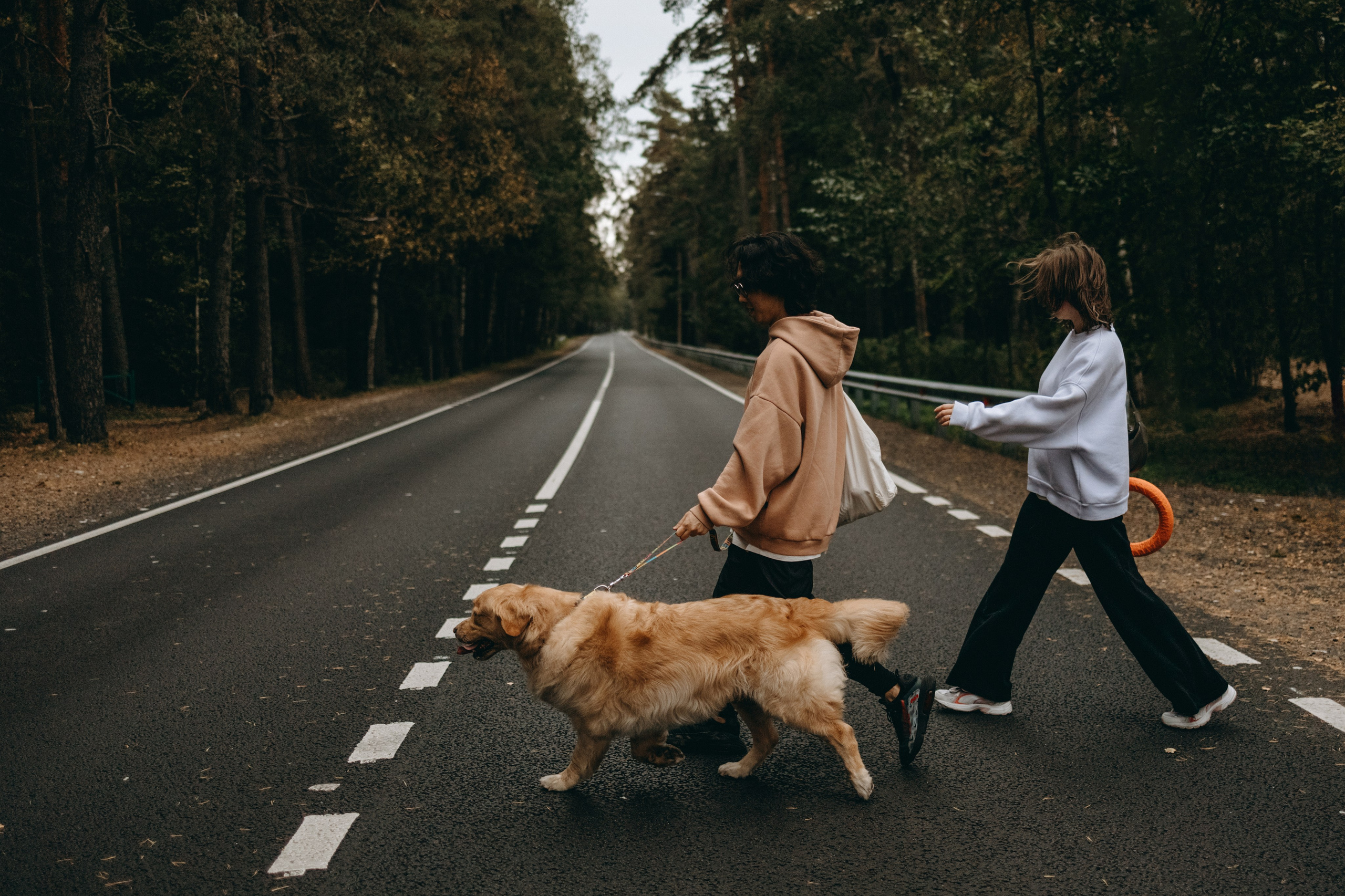Фоси и его семьи. Фотограф — Анималист | Санкт-Петербург