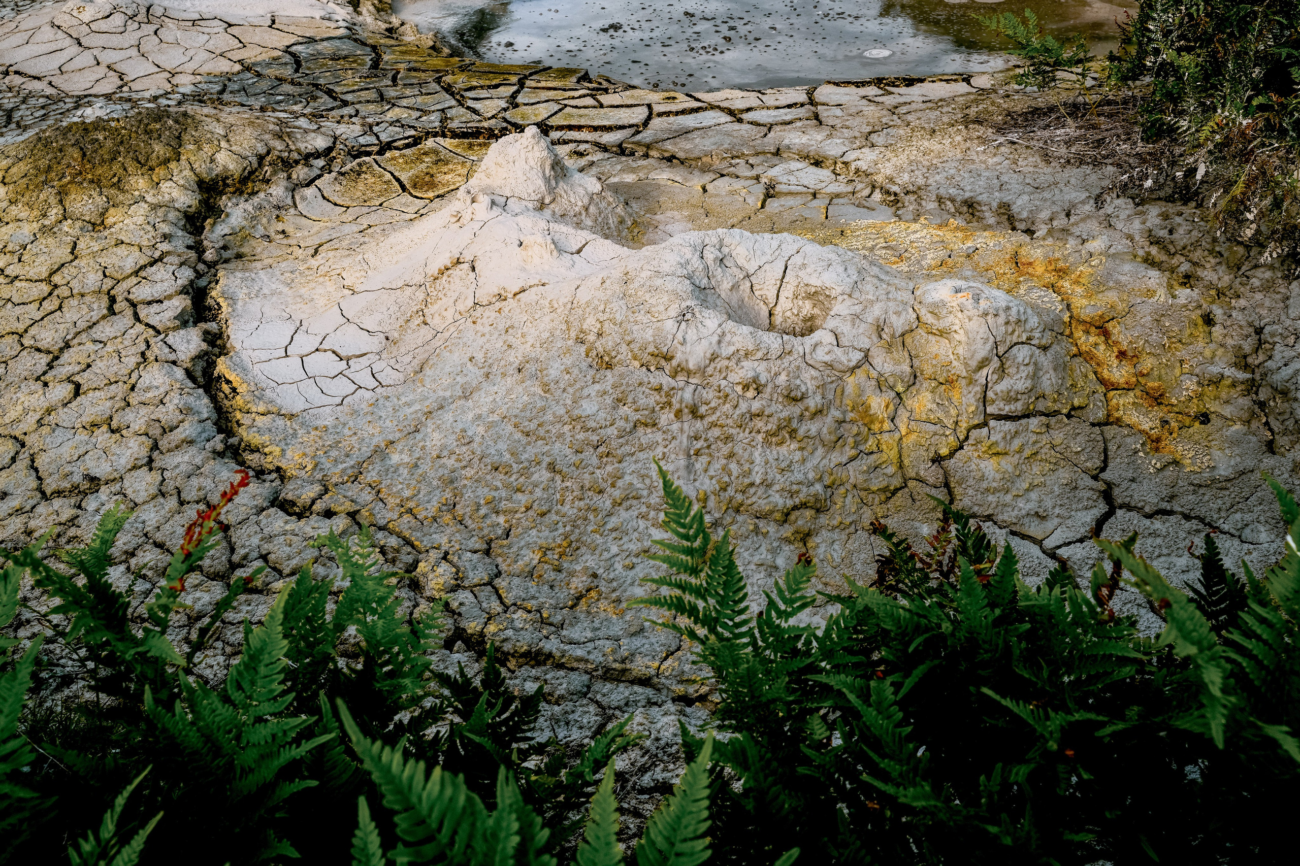 Путешествия и пейзаж. Репортажный фотограф в Красной Поляне и Сочи Павлюченко Екатерина