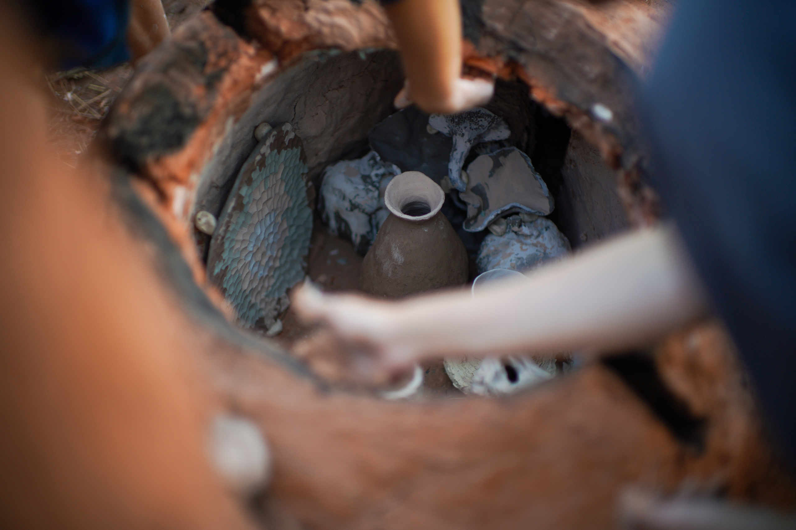 Wild fire 2024 — Дикий огонь 2024