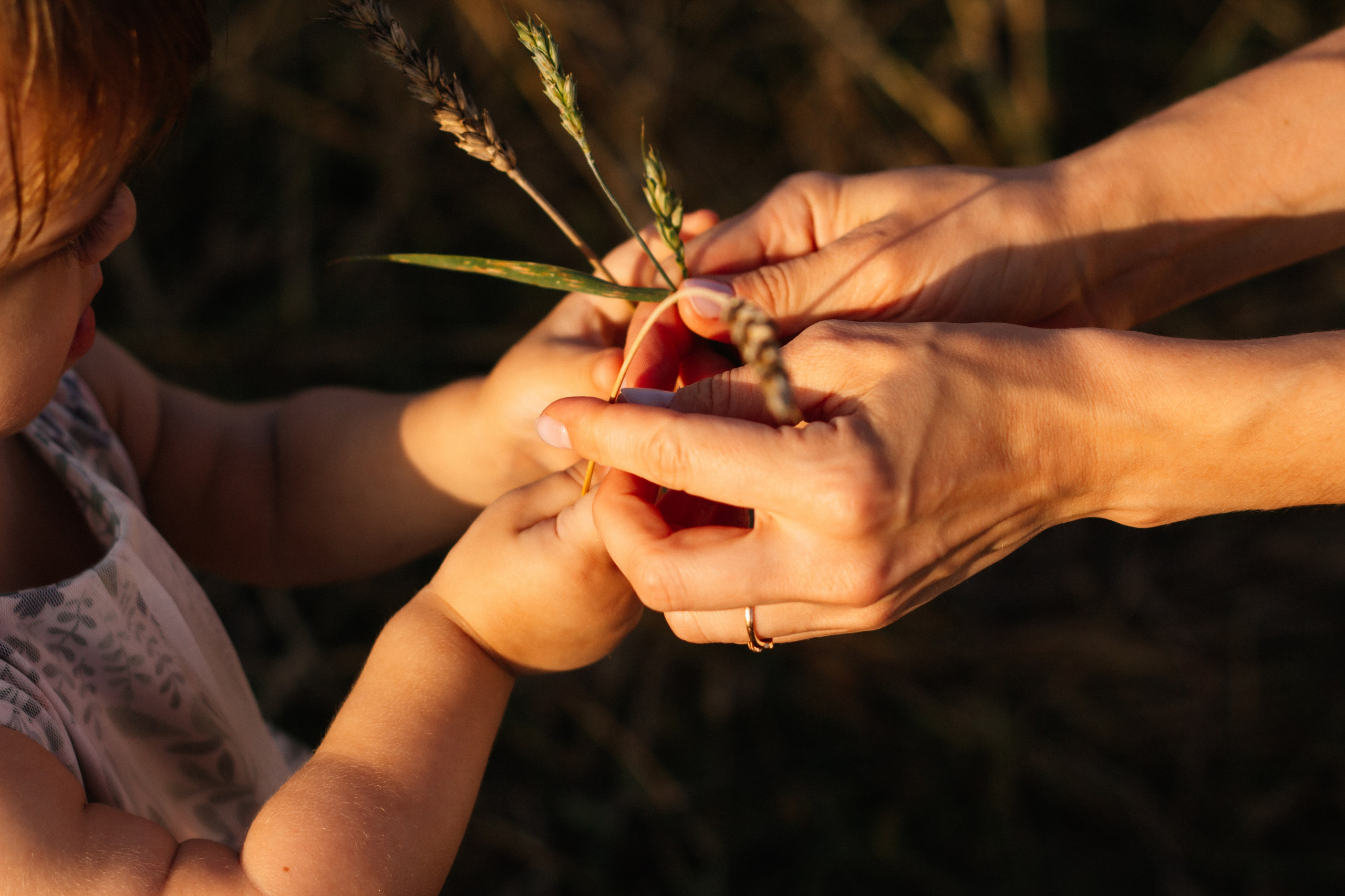 Семейная фотосессия на закате в полях. Семейный фотограф в Томске Максимова Екатерина